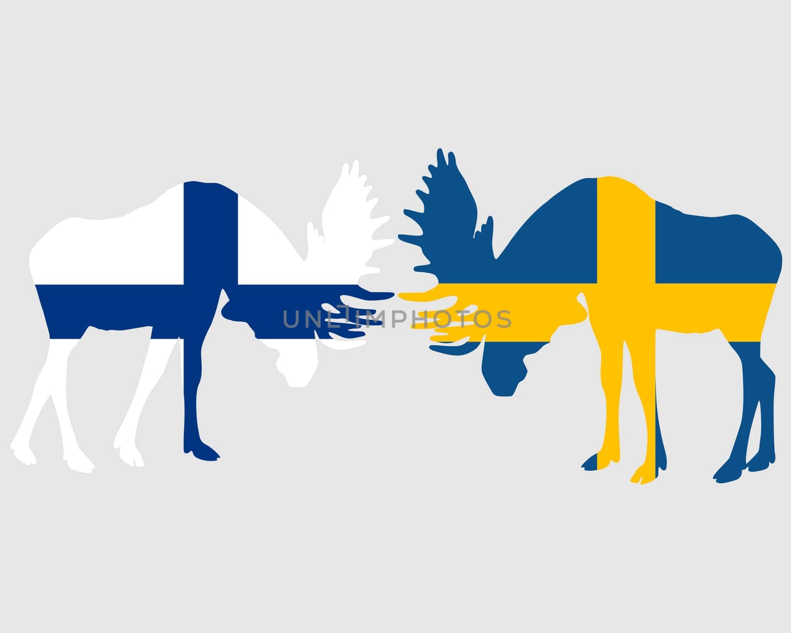 Fighting Moose