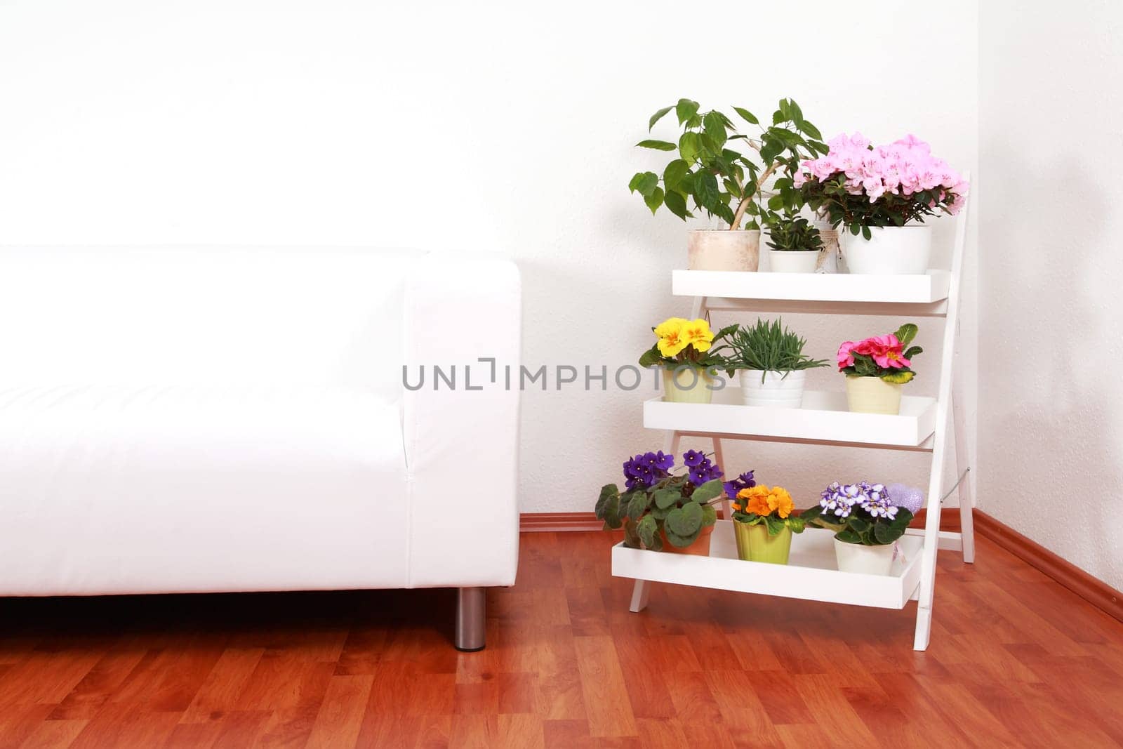Flowers in interior