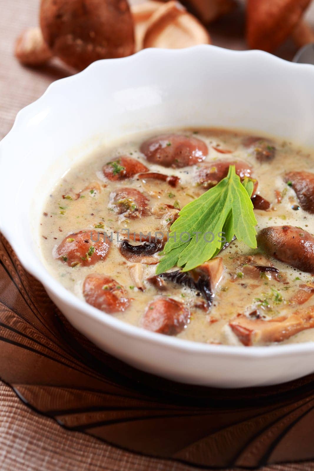 Mushroom soup