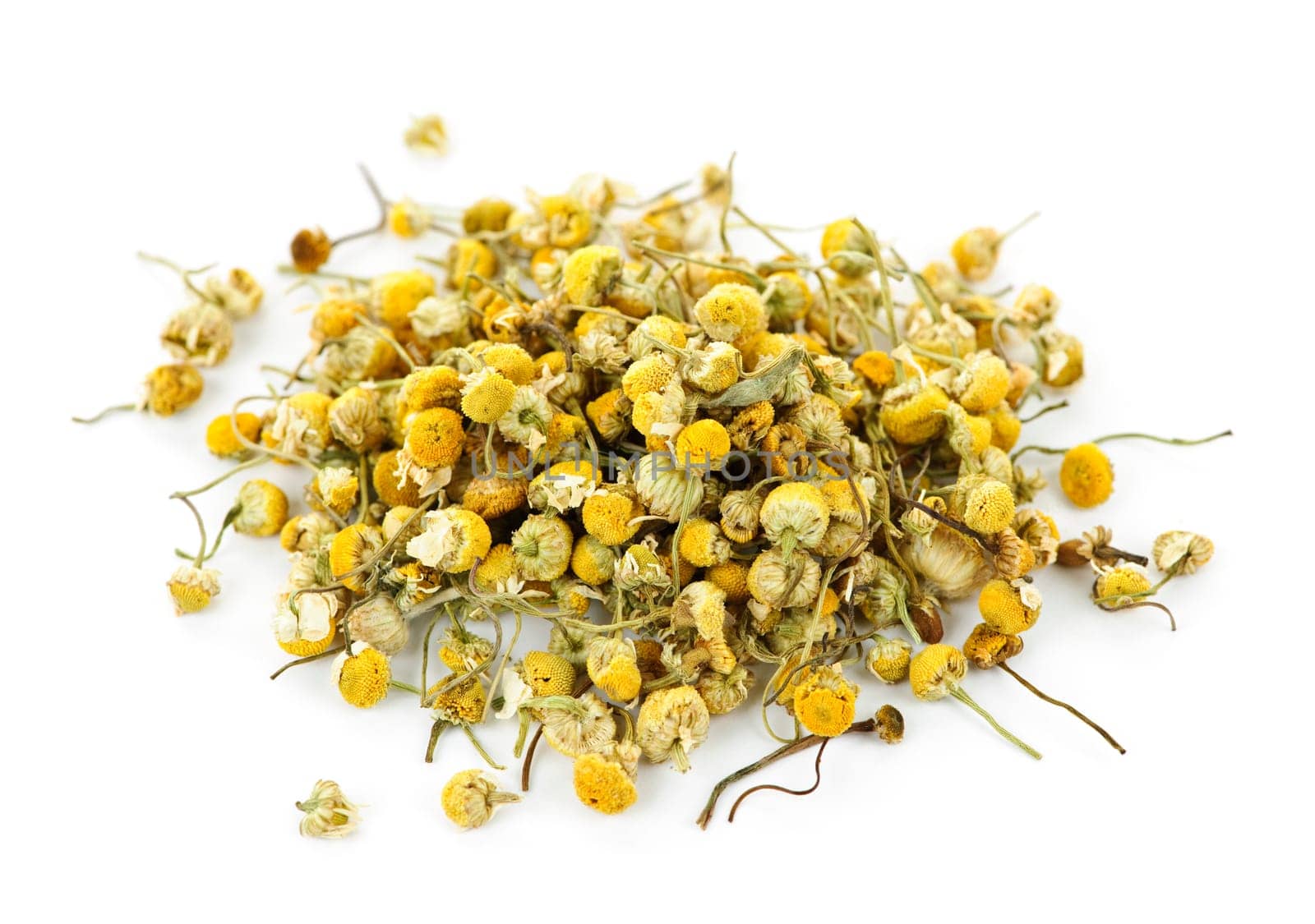 Medicinal chamomile herbs