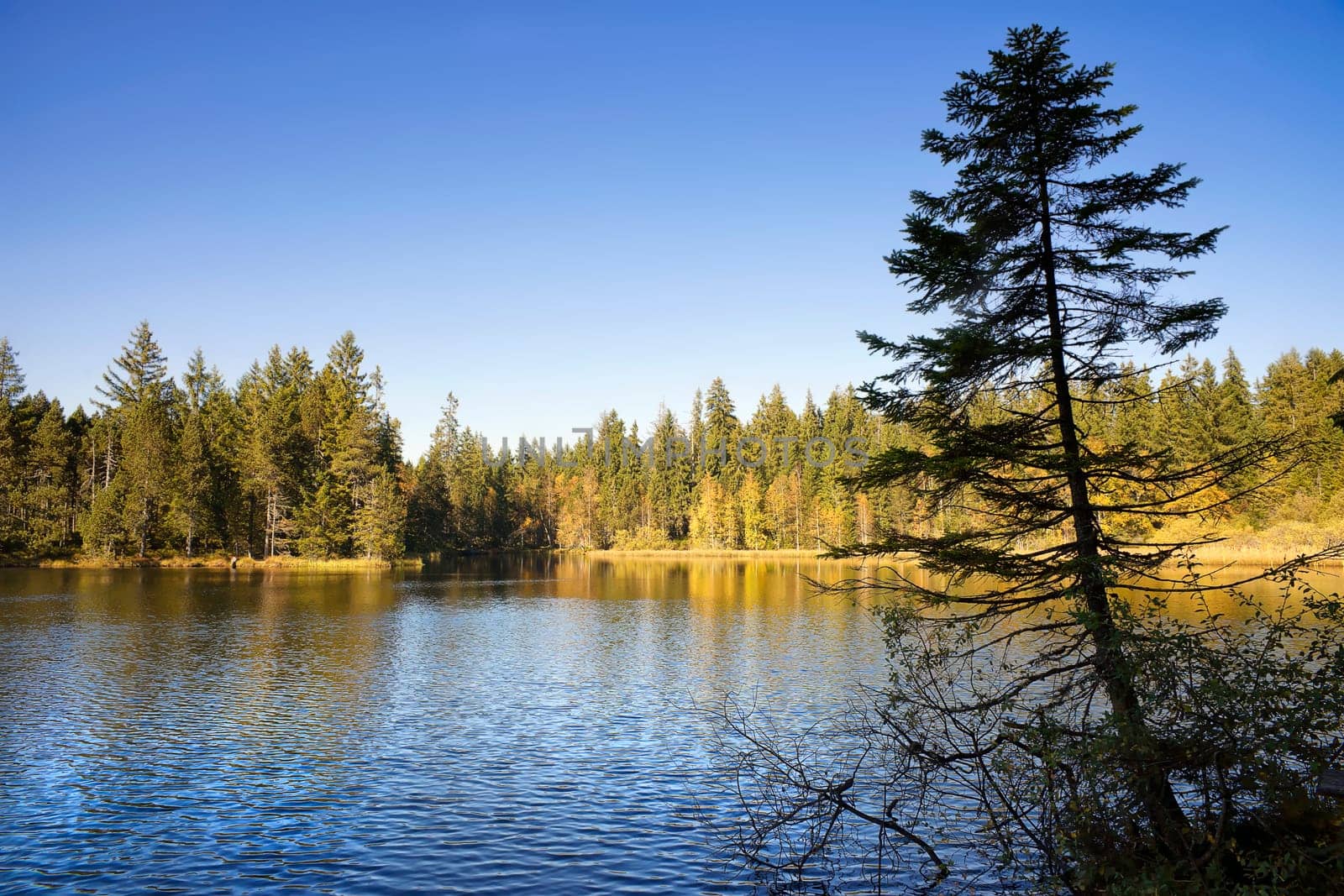 Etang de la Grurère