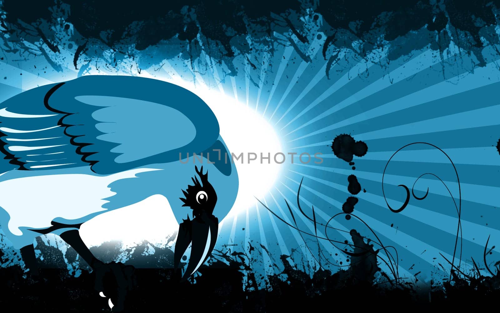 crow