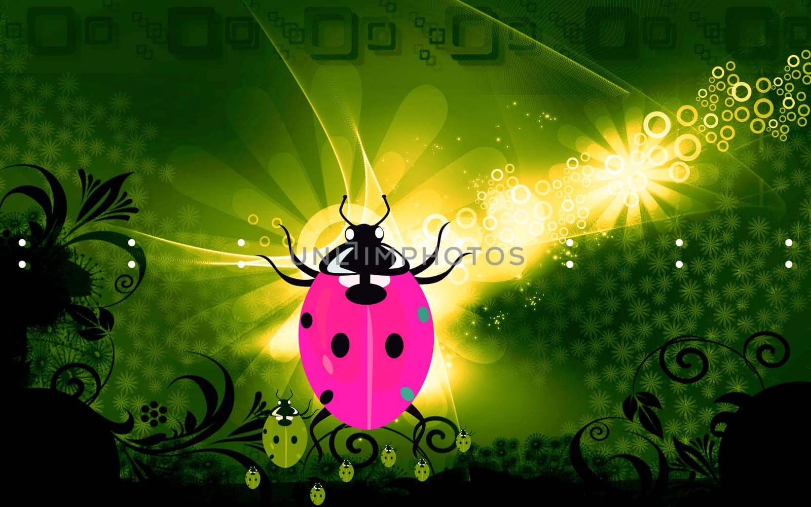 An insect