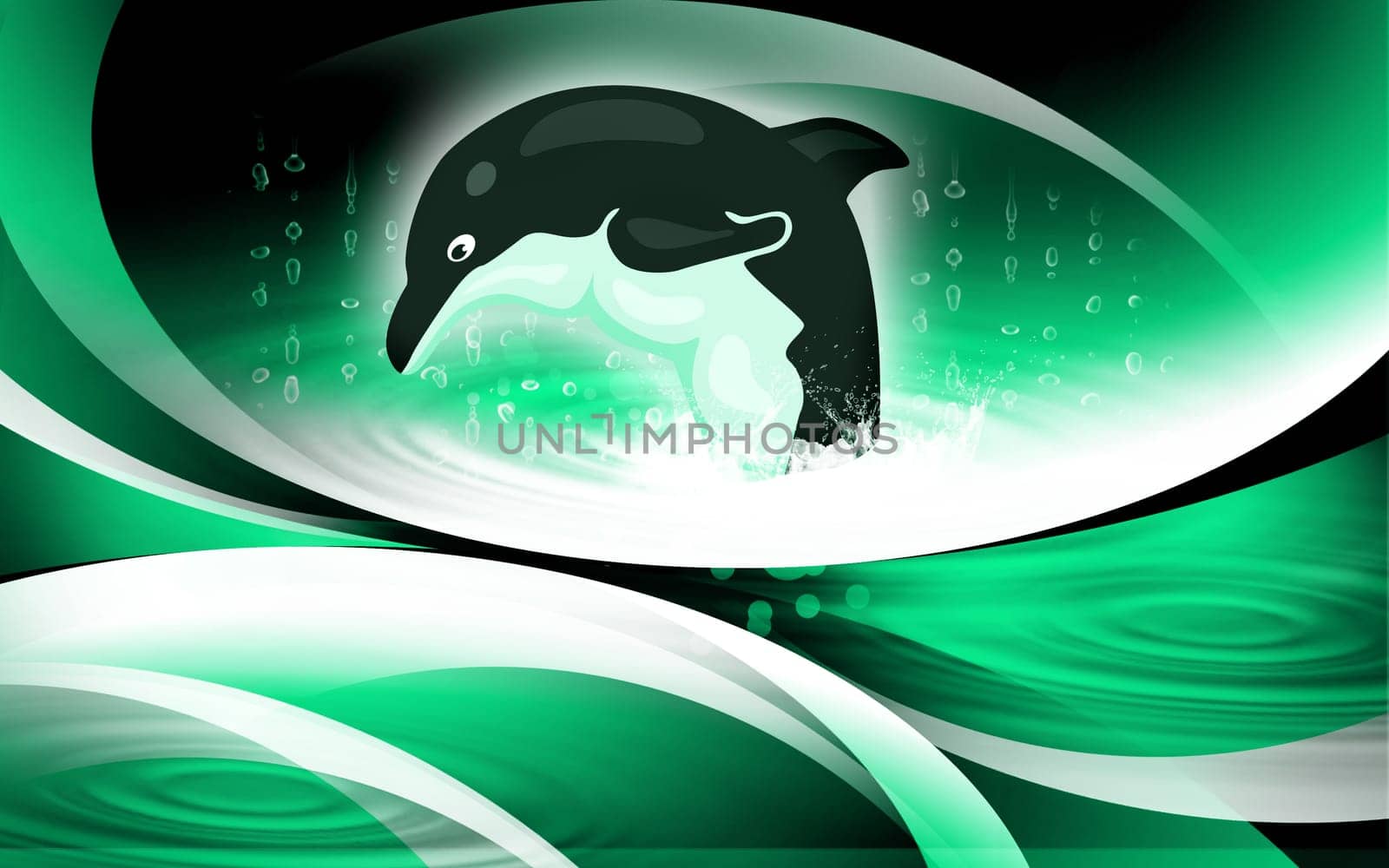 dolphin