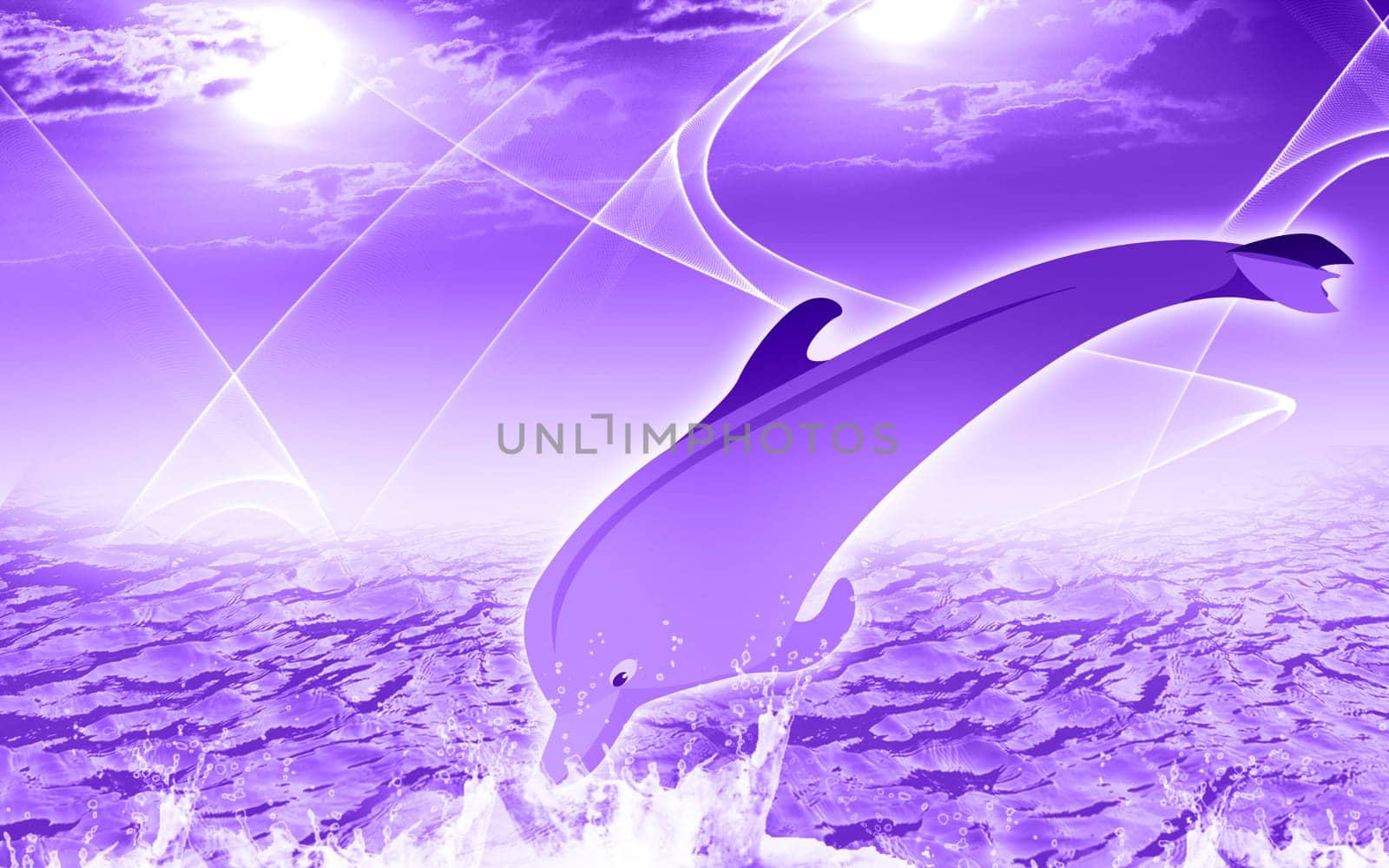 dolphin