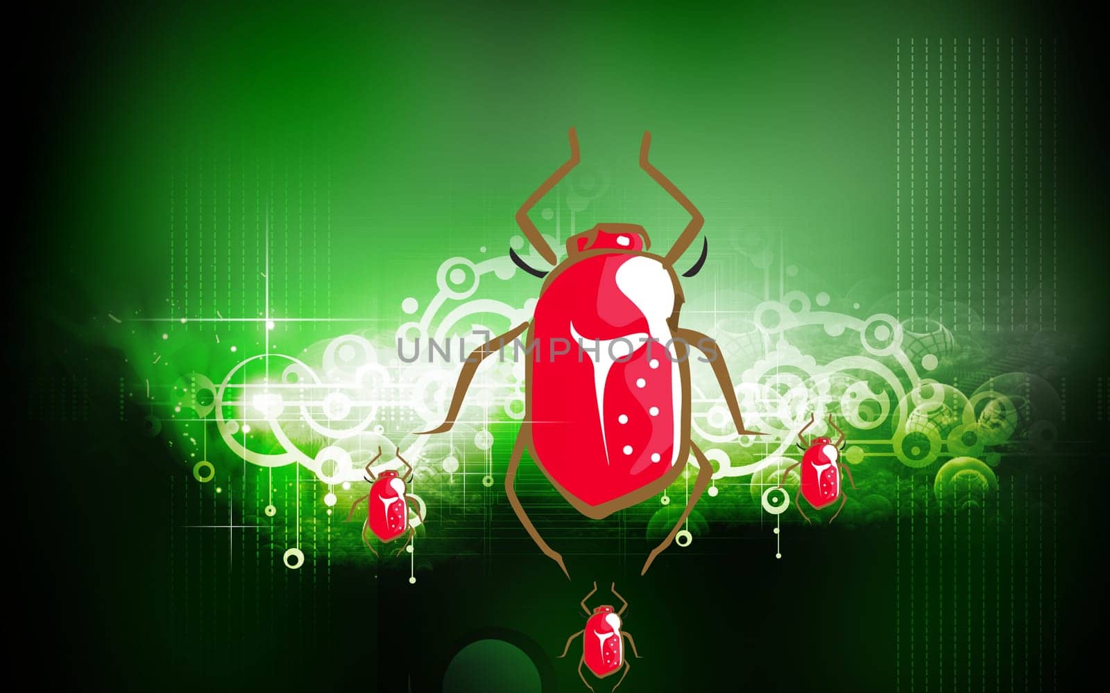 An insect