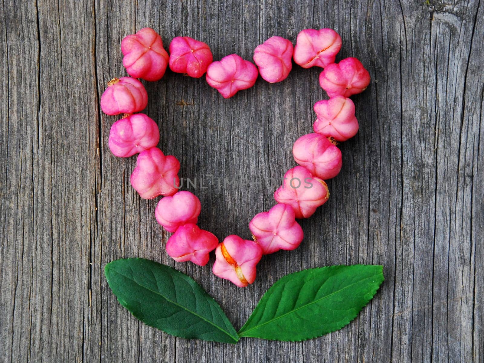 Heart of Blossoms