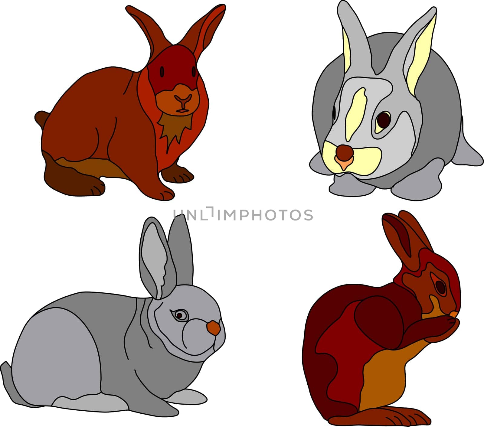 rabbit
