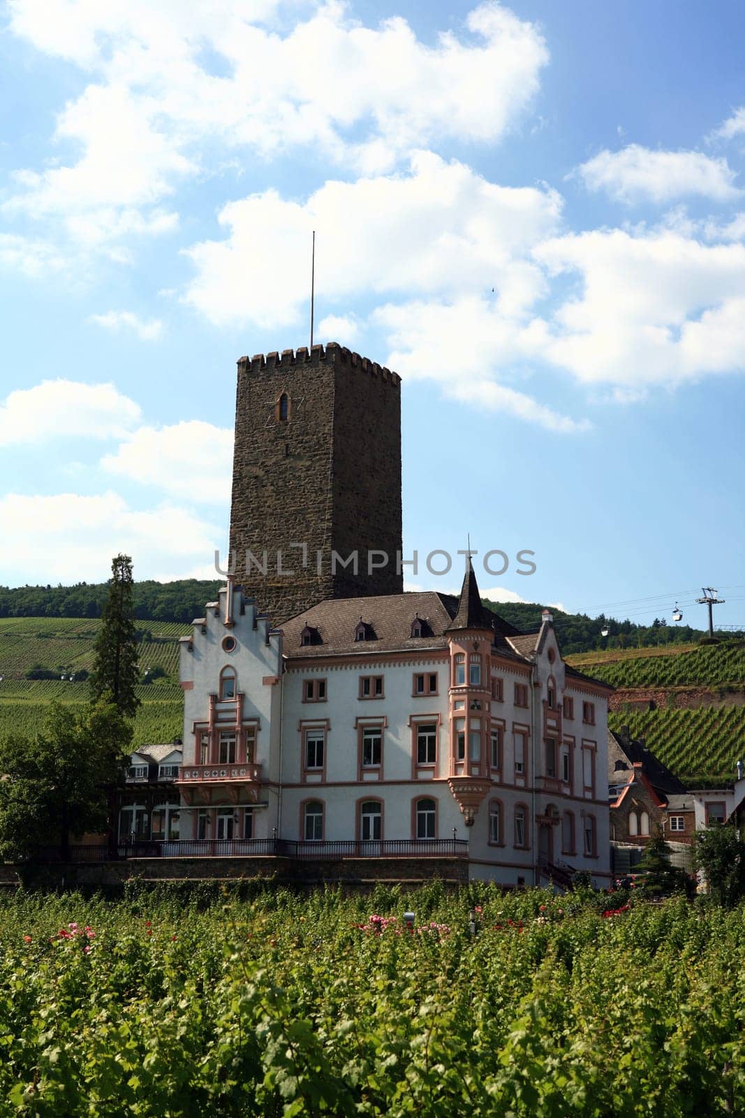 Boosenburg Rüdesheim