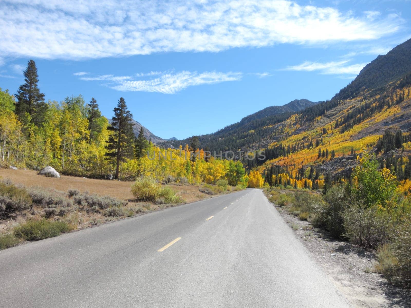 autumn road