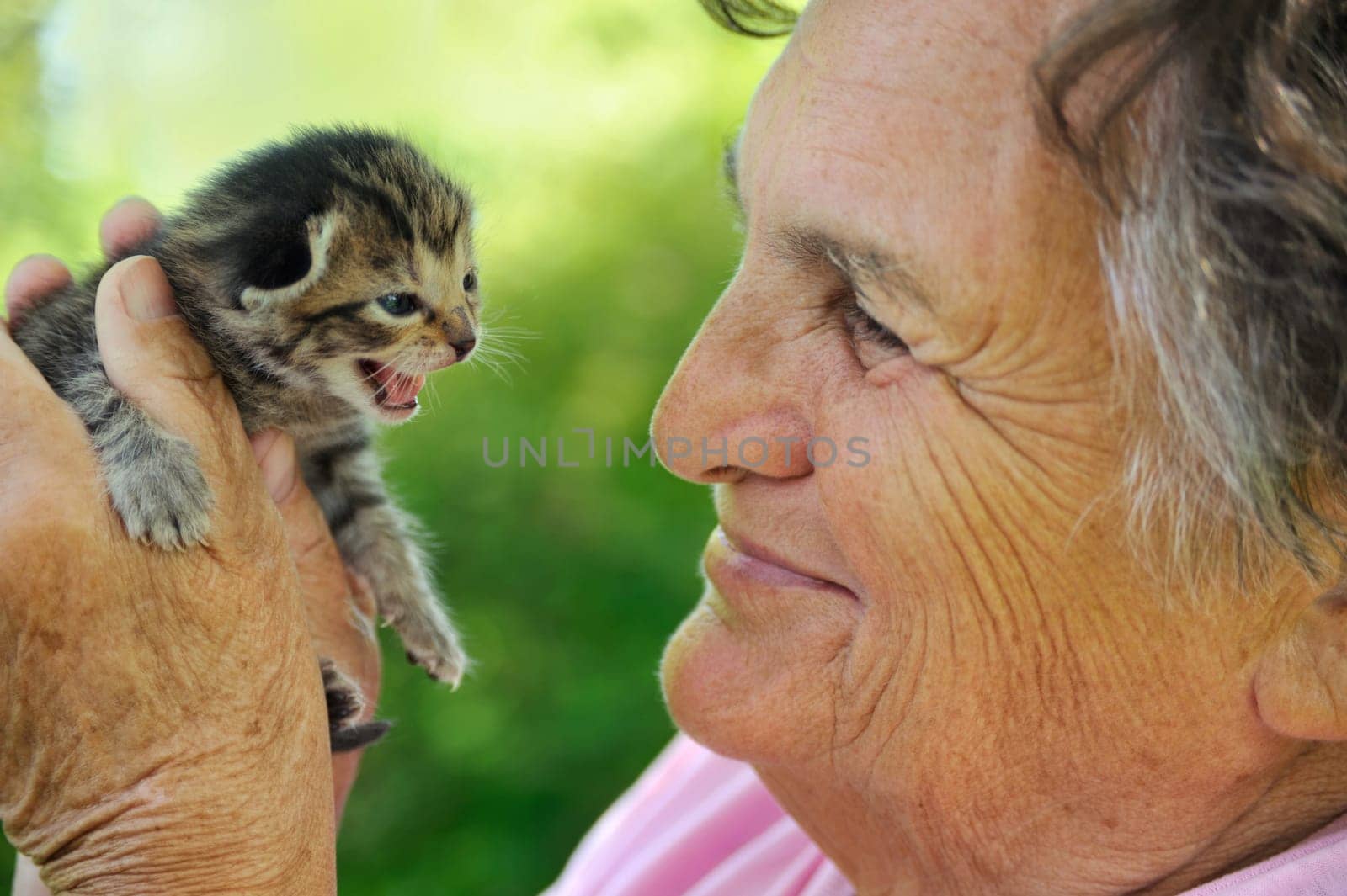 Senior woman holding little kitten