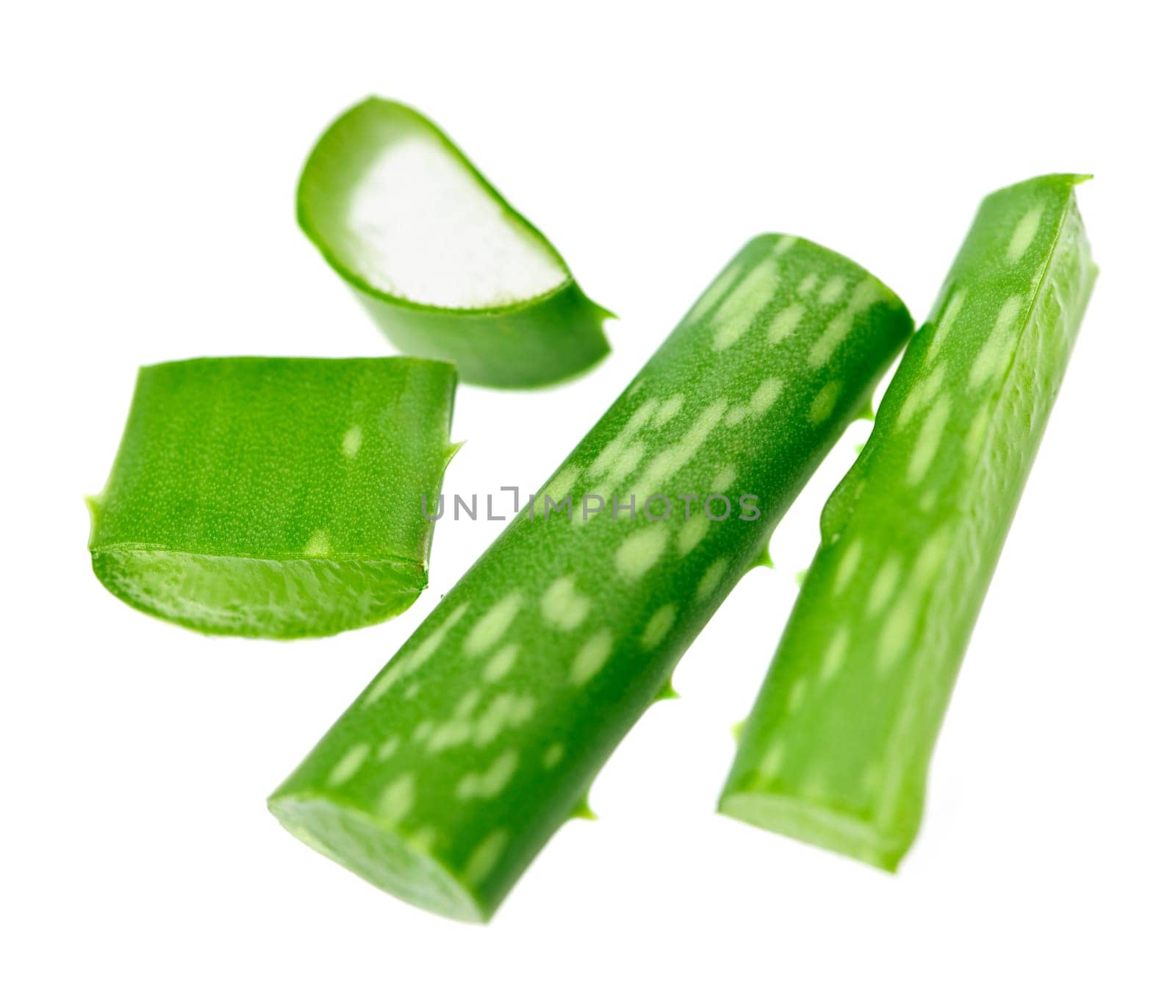 Aloe vera plant pieces