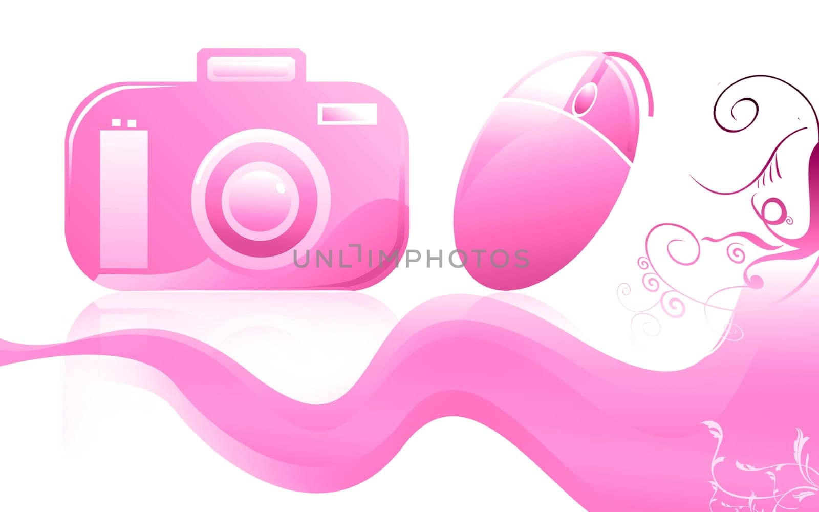 Mouse and camera