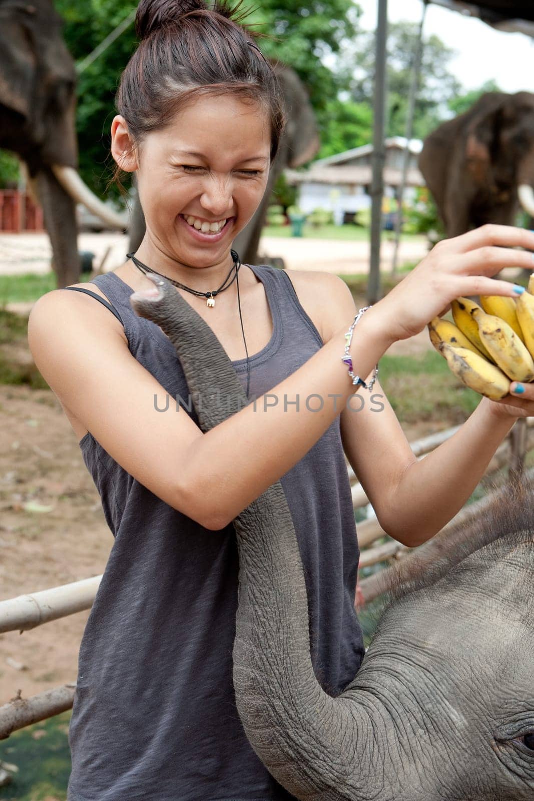 Girl feeding elephant