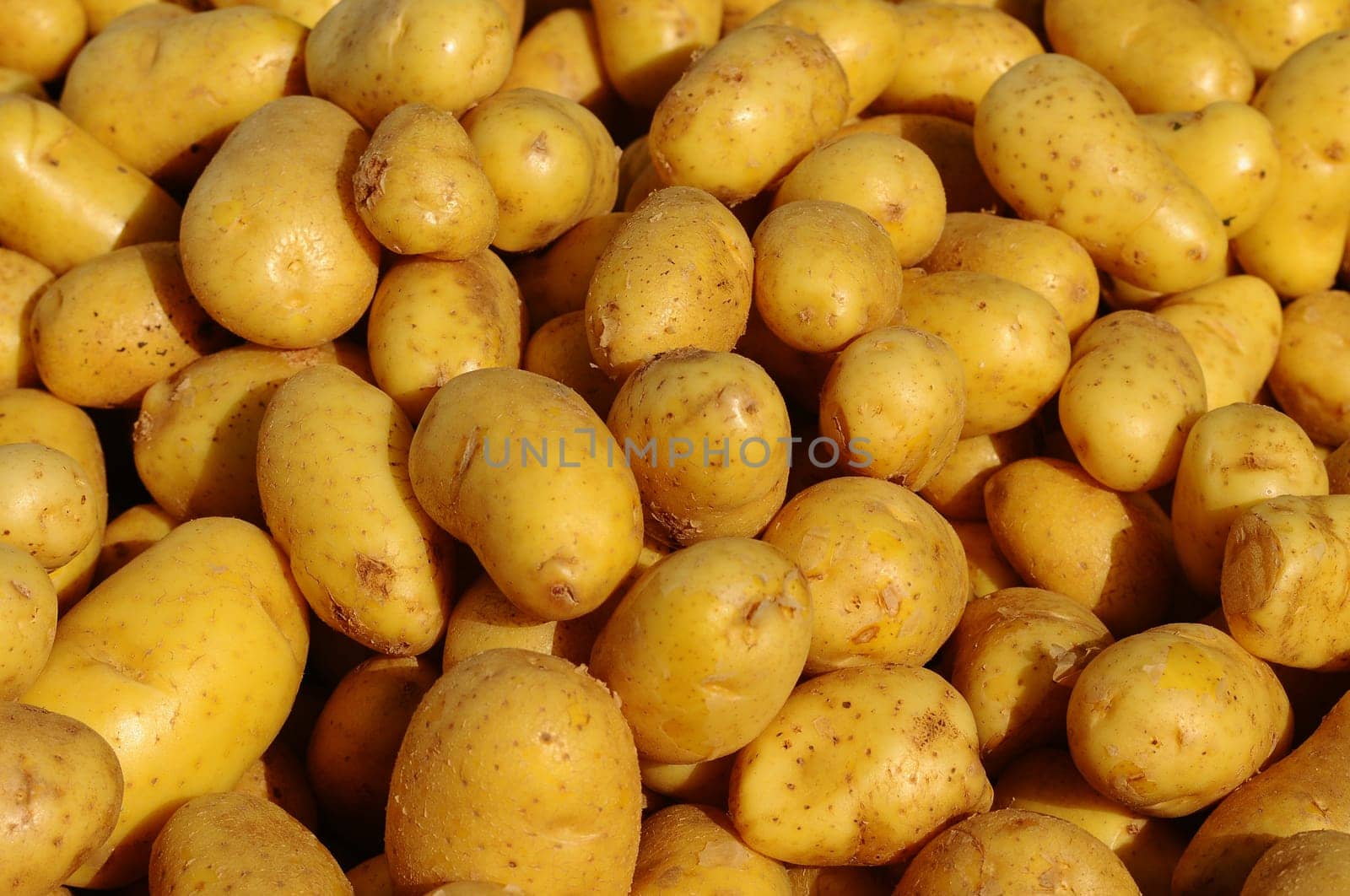 Potatoes