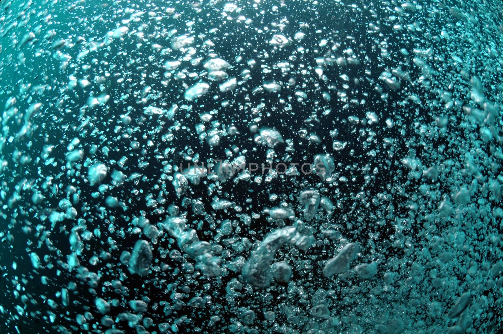 Bubbles