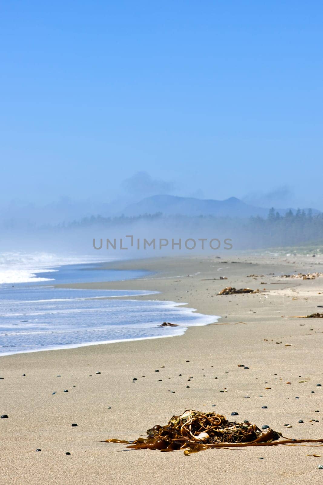 Coast of Pacific ocean in Canada