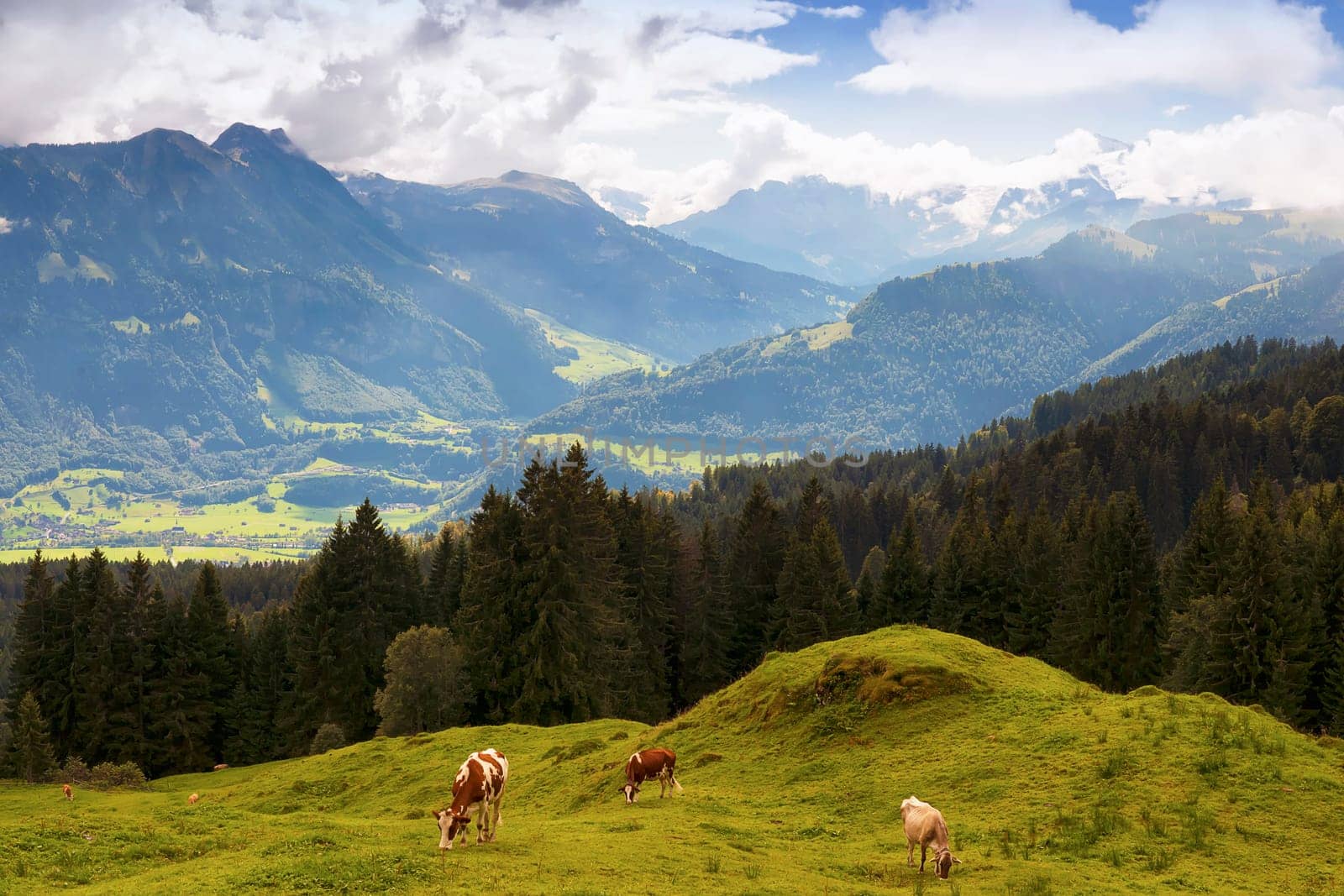 Glaubenberg Pass