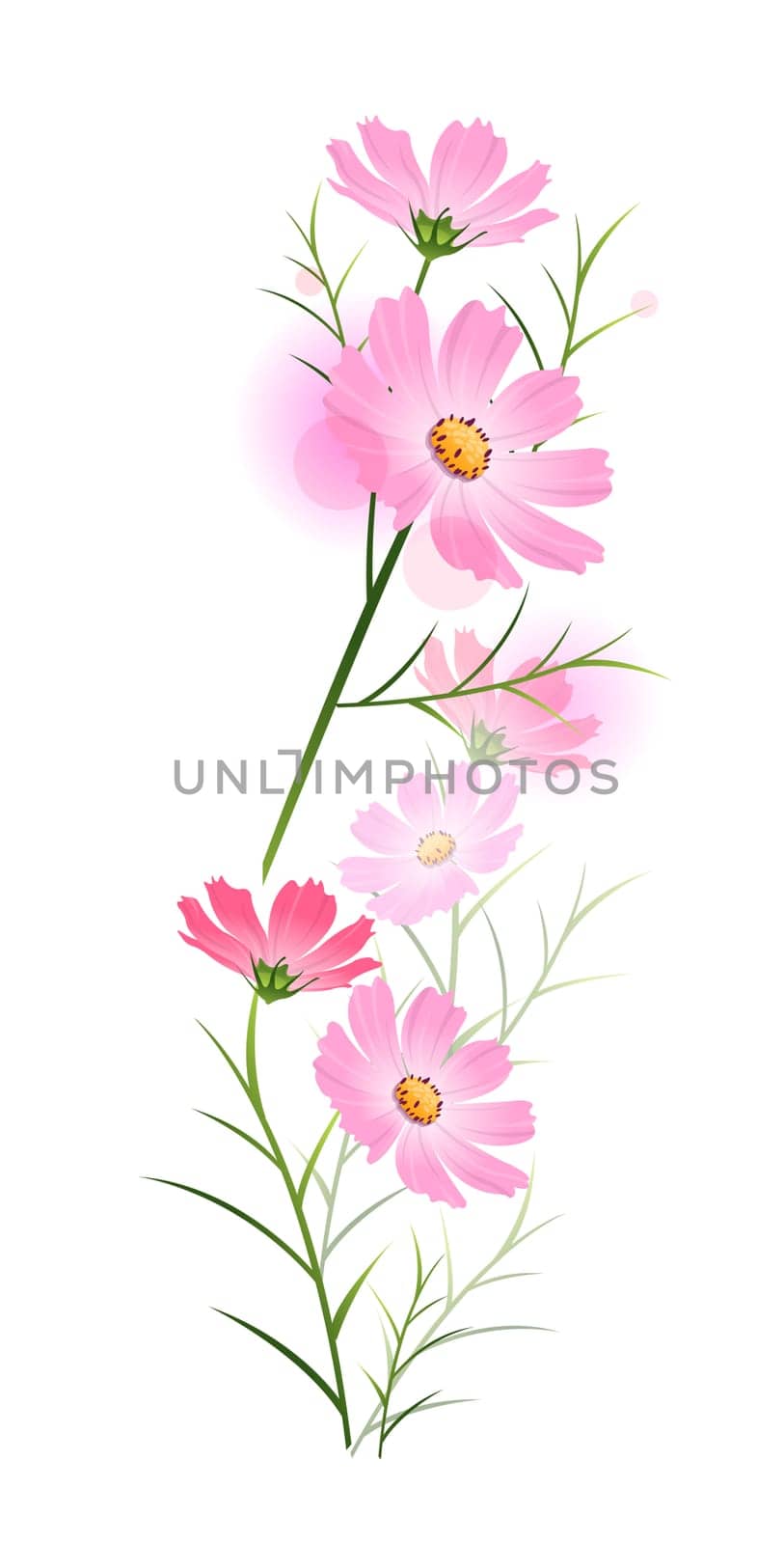 pink flower