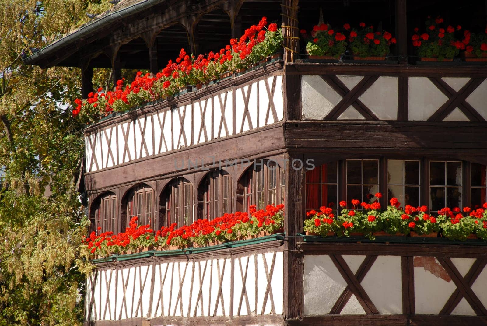 Half-timbered house