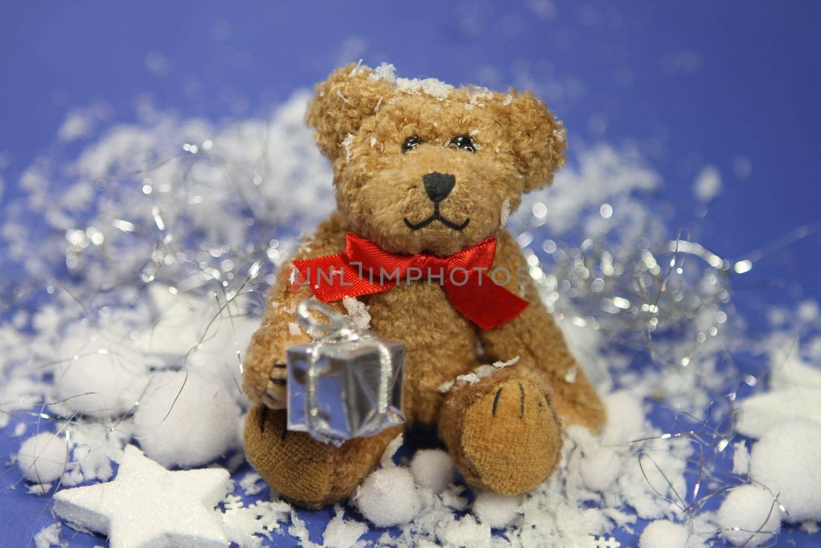 Christmas bears in the snow