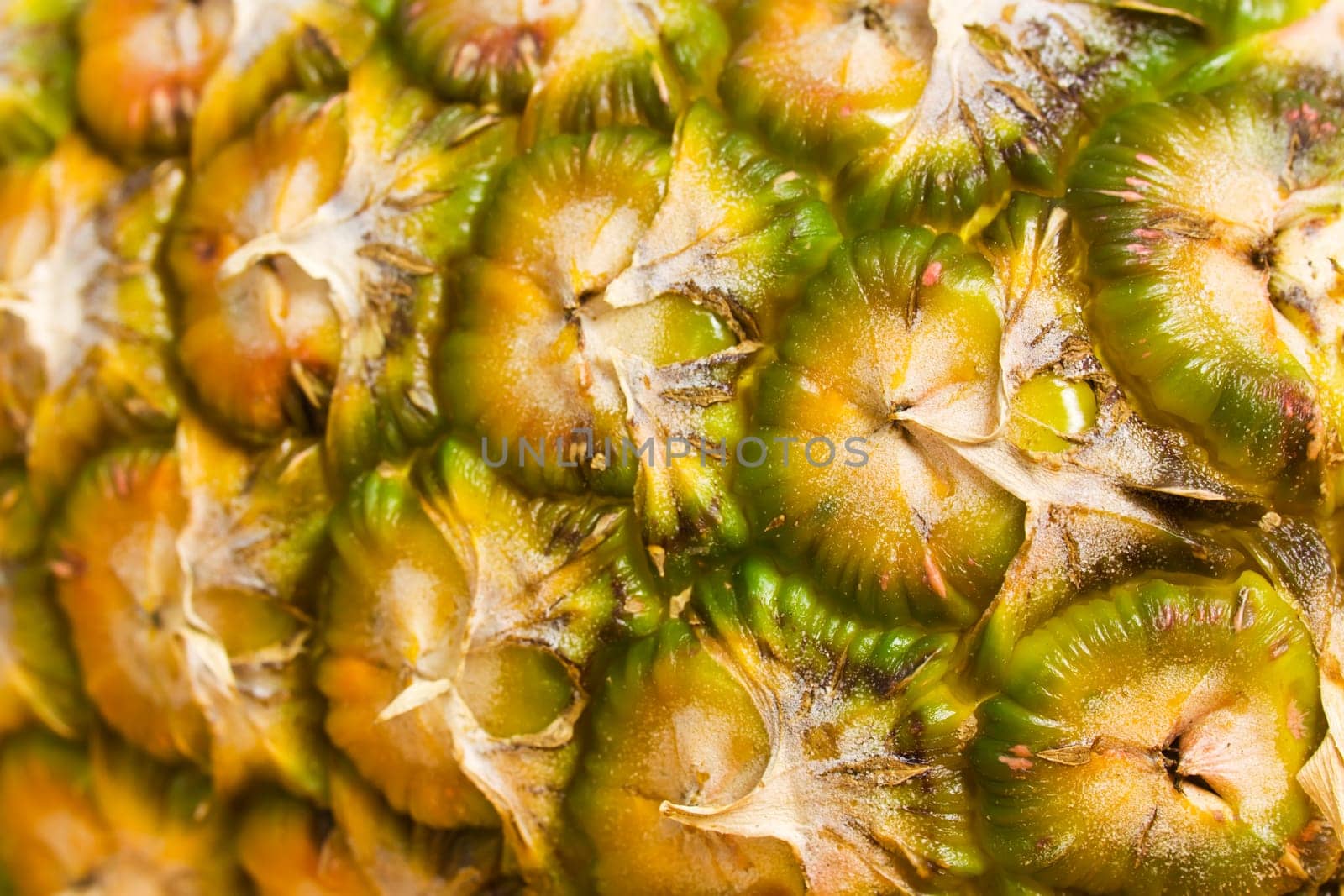 Pineapple
