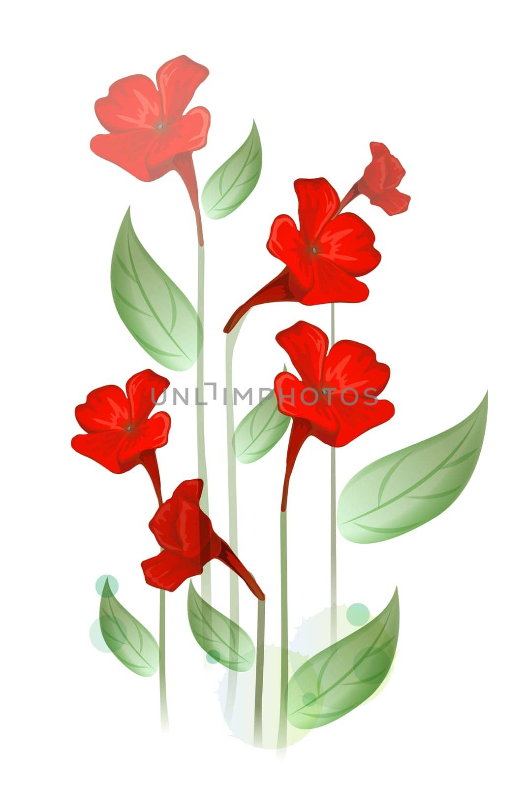 red flower