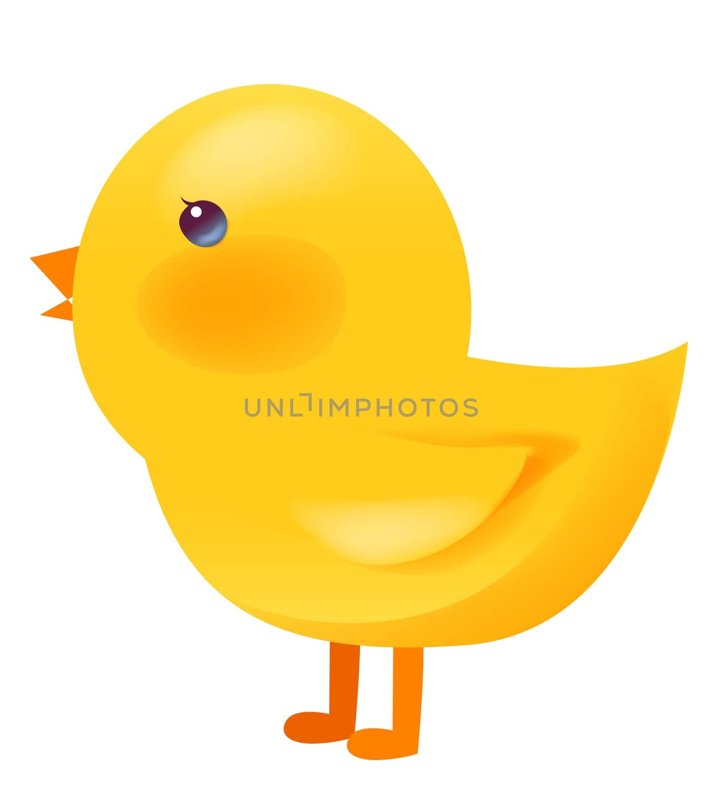 Chicken toy