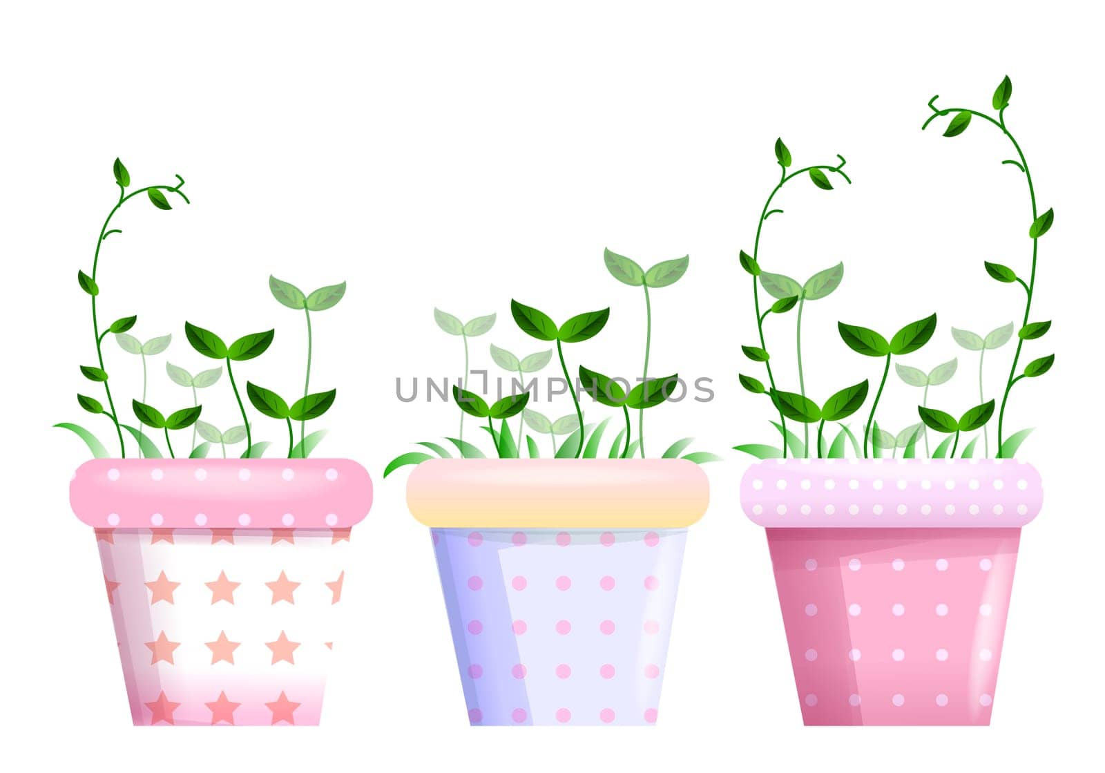 Flowerpots and leaf