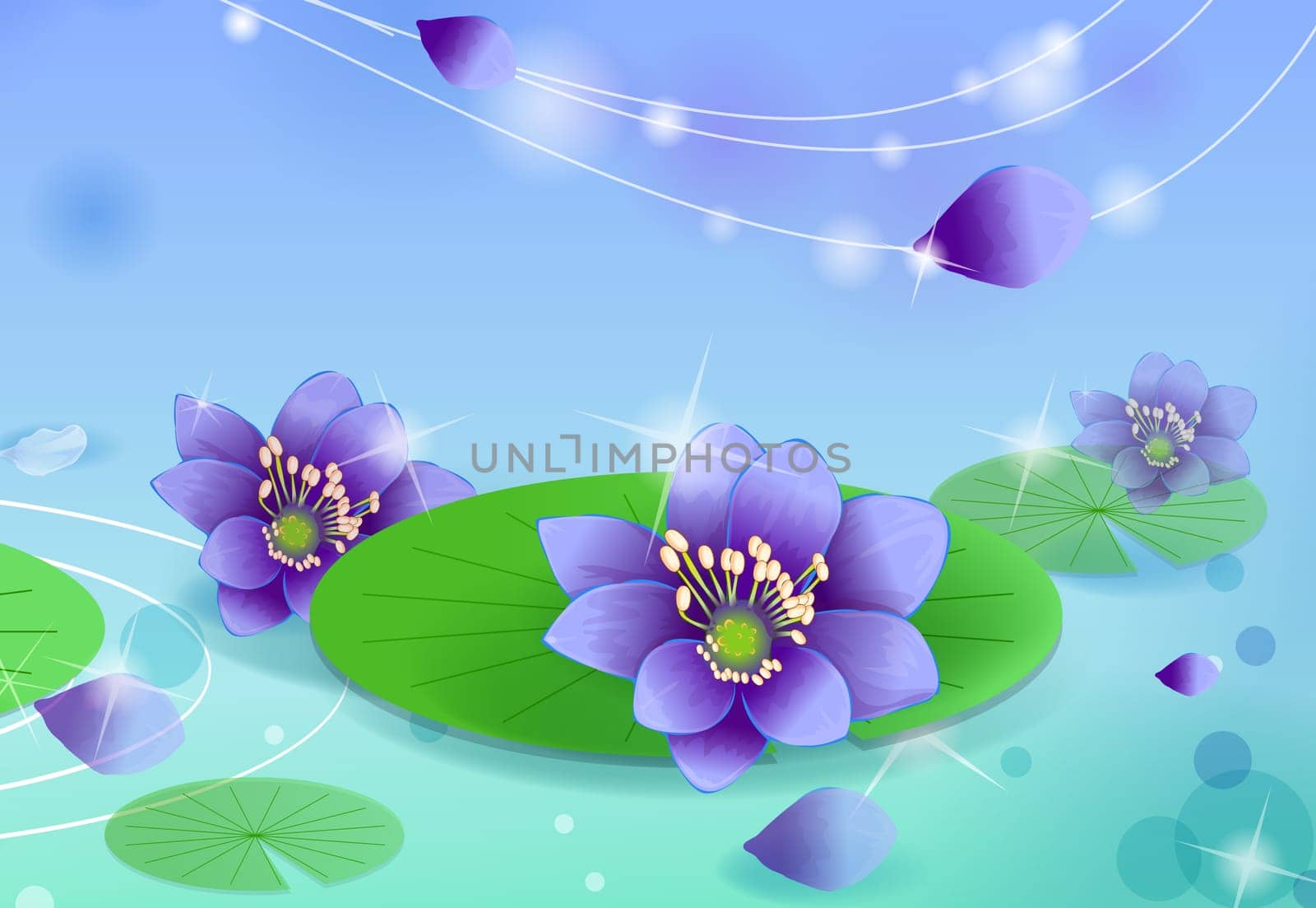lotus