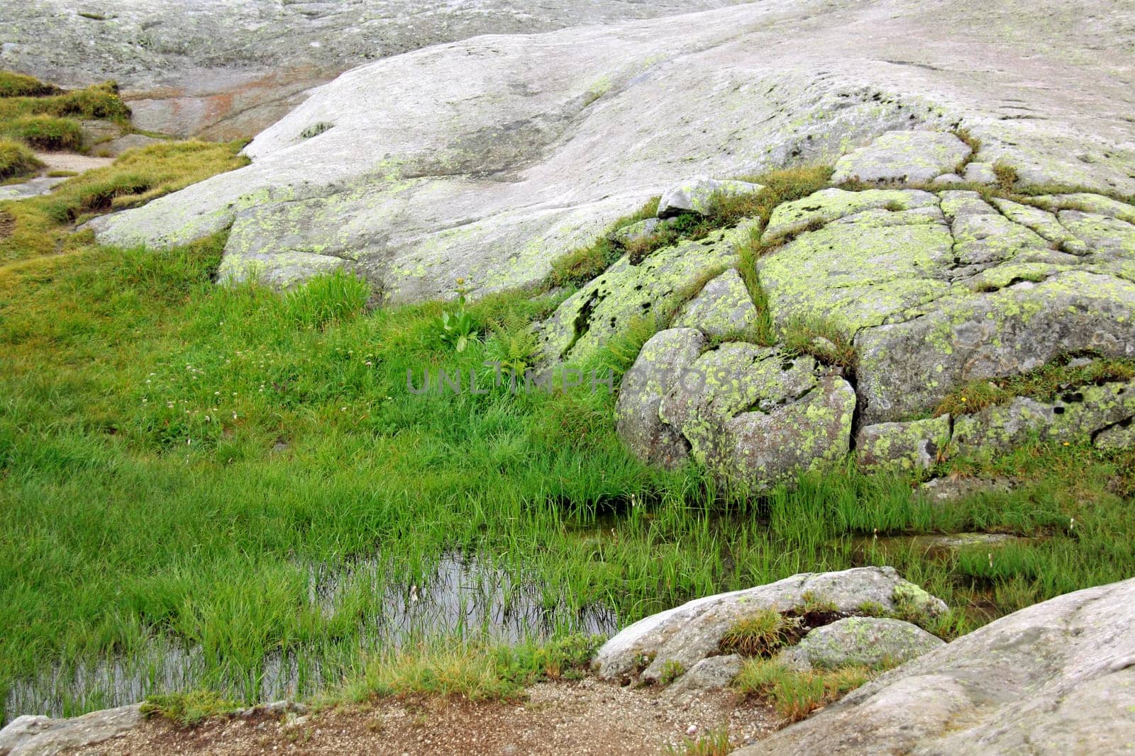 stone grass and water