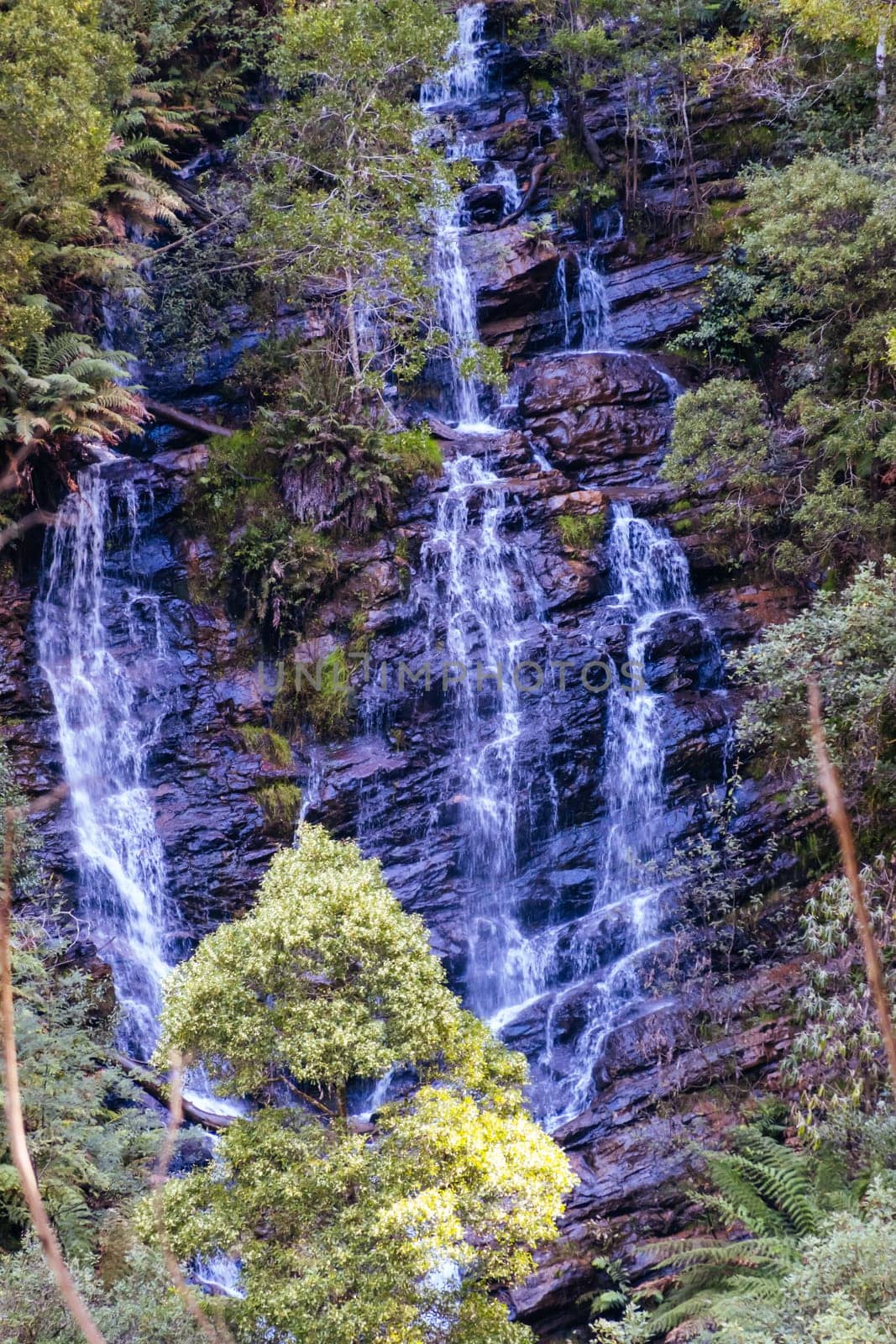 Wombelano Falls in Melbourne Australia by FiledIMAGE