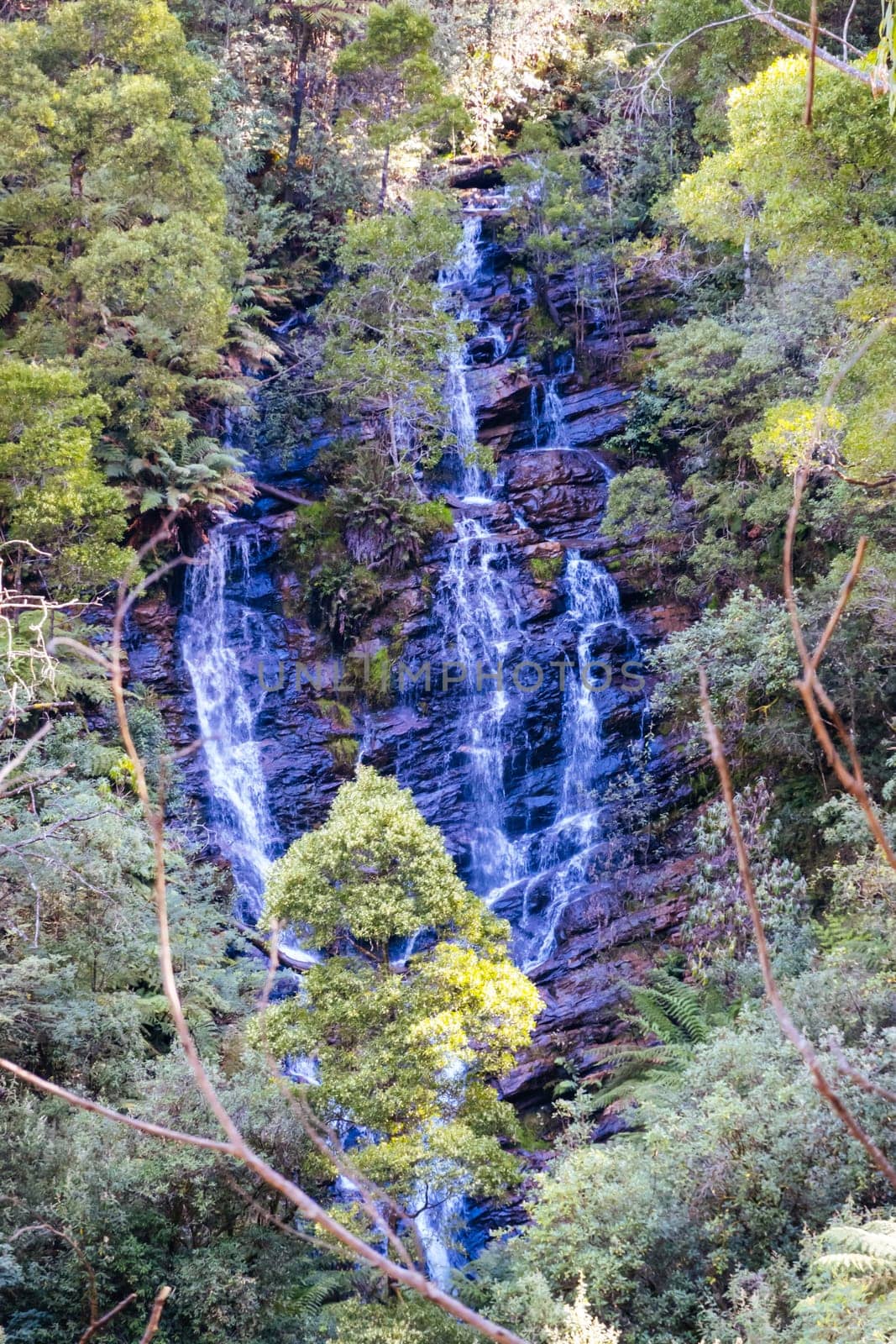 Wombelano Falls in Melbourne Australia by FiledIMAGE