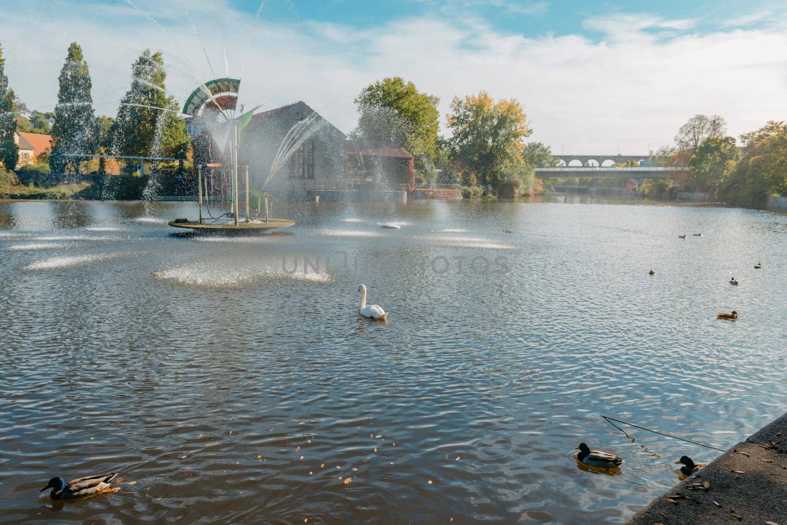 City fountain and pond with swan and ducks in Old European City Bietigheim-Bissingen In Germany. the City Park of Bietigheim-Bissingen, Baden-Wuerttemberg, Germany, Europe. Autumn Park and nature by Andrii_Ko