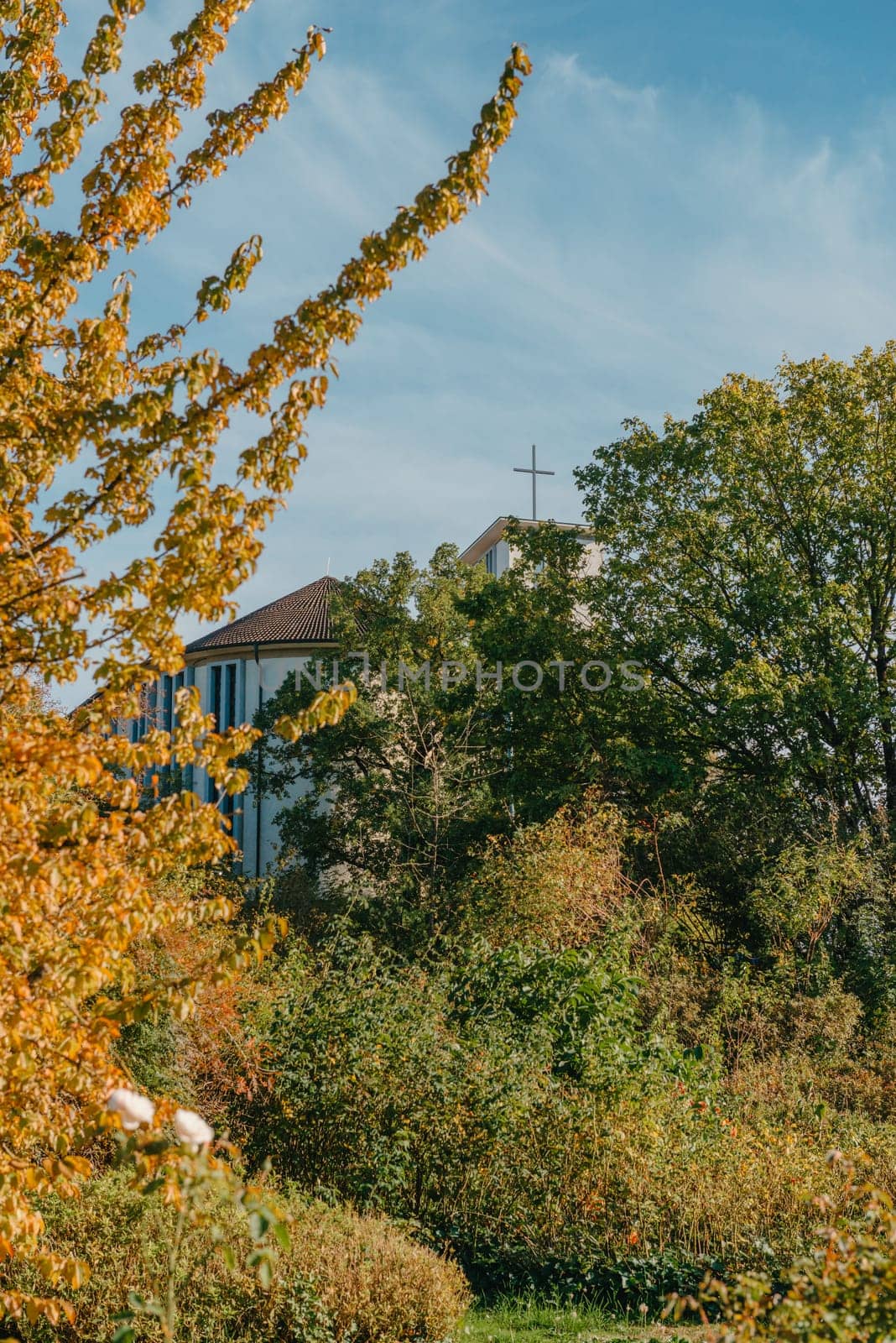 Autumn forest road leaves fall in ground landscape on autumnal background in November