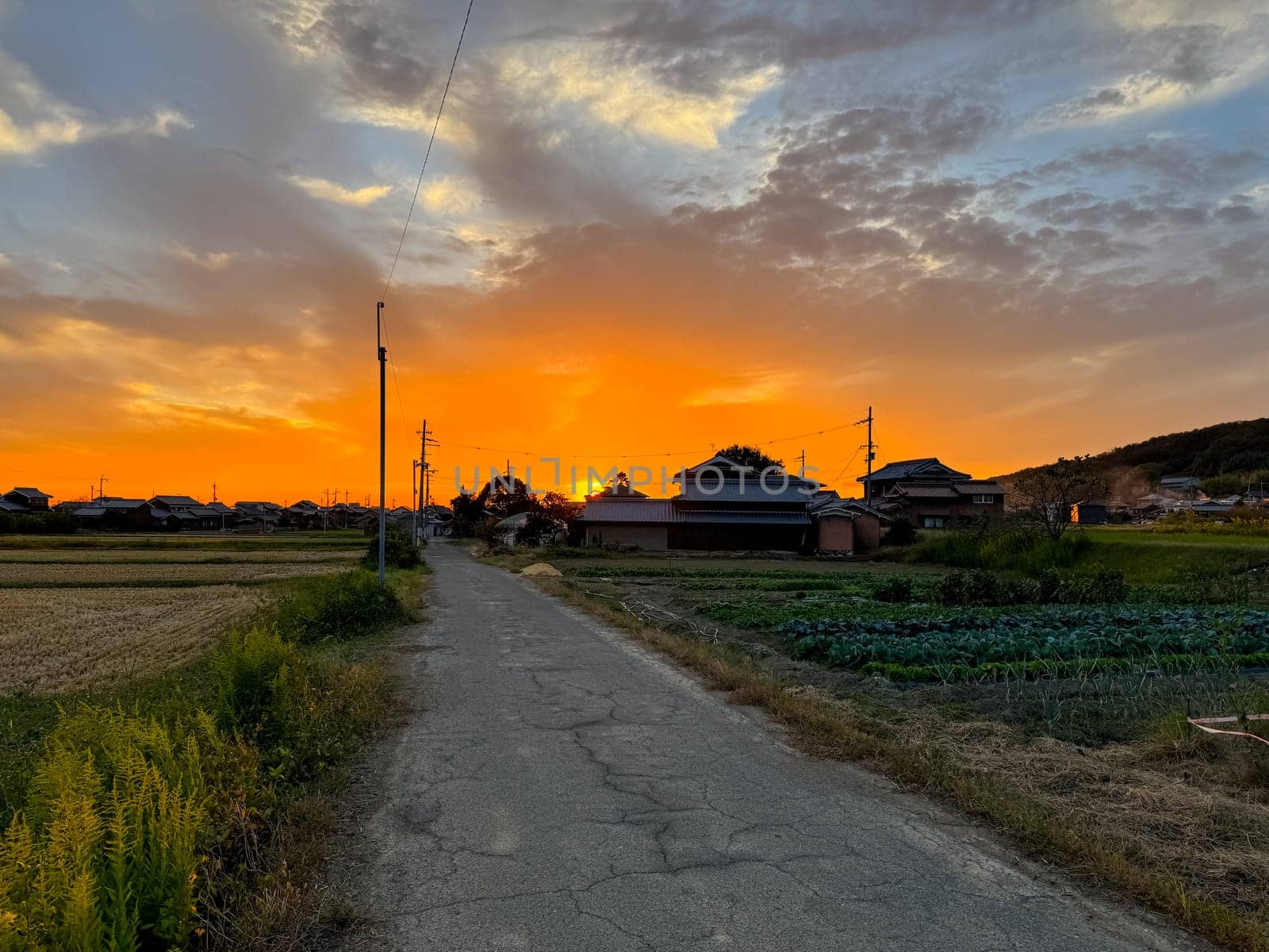 Sun sets by country road and rural Japanese houses under dramatic sky. High quality photo