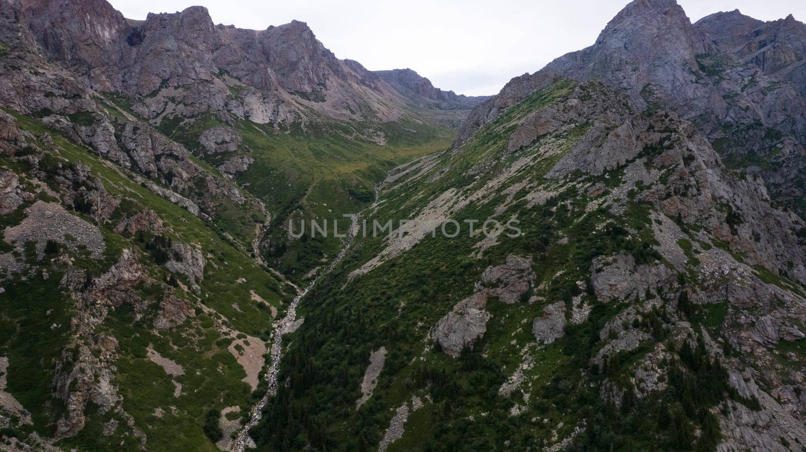 Drone view of a green gorge with high rocky cliffs. A grey, bubbling river is running. The sky was overcast. Lots of big rocks and coniferous trees. Wildlife of Kazakhstan. Gorges of Burkhan Bulak