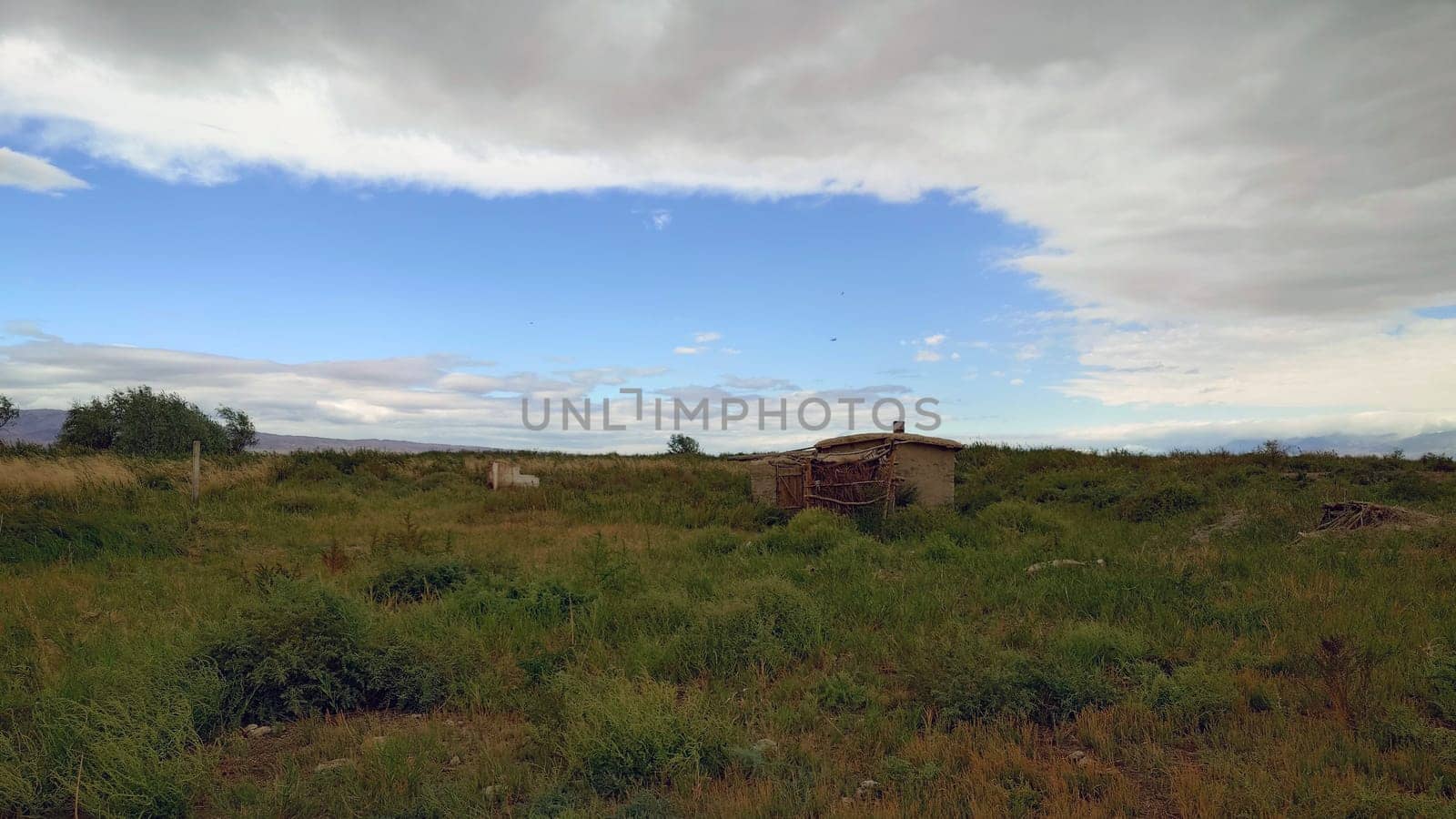 An abandoned old house among overgrown grass. Yellow-green grass. A clay house with a chimney. Wooden doors. Birds are flying. White clouds in a blue sky. A strong wind is blowing. Kazakhstan