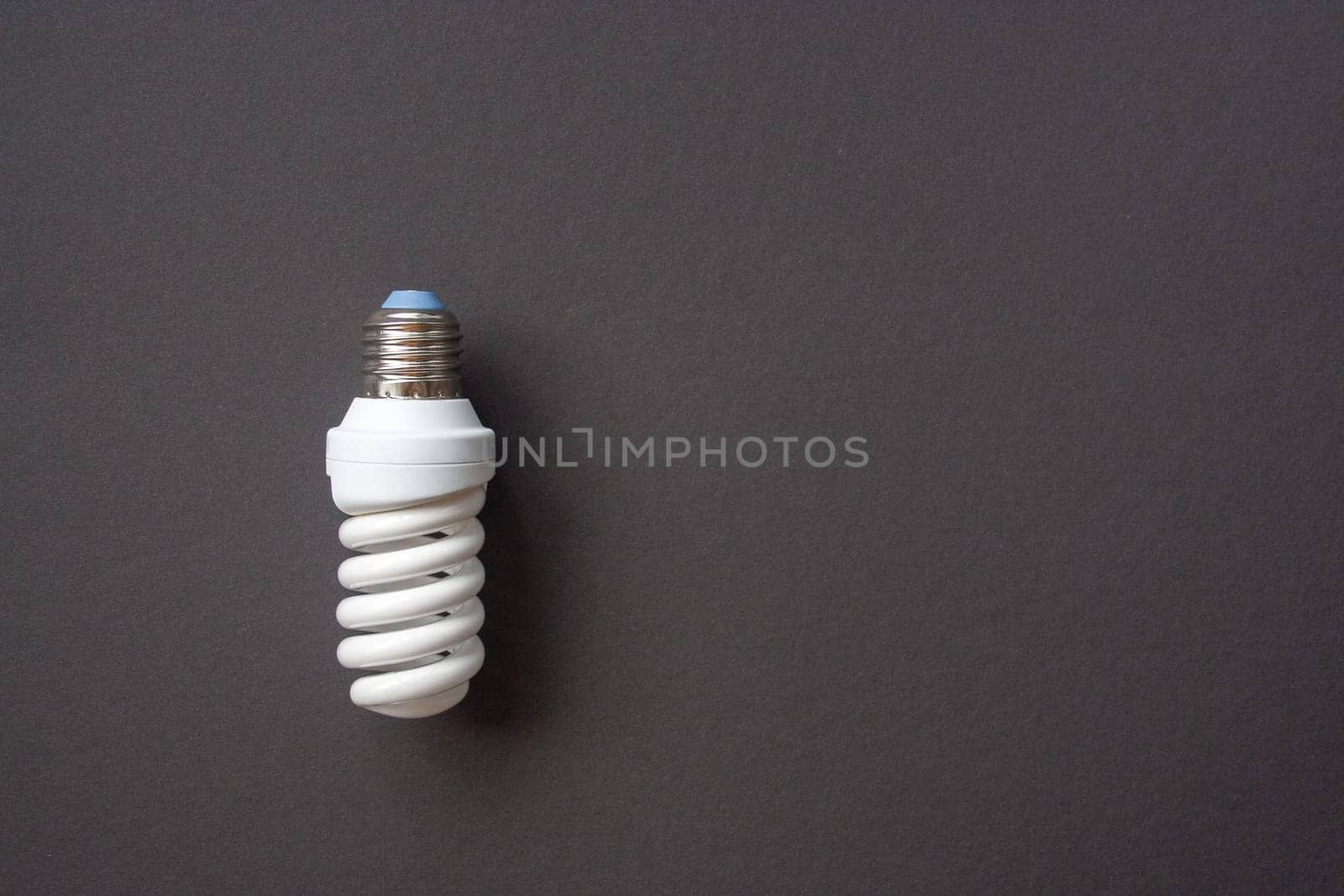 Energy saving light bulb on a black background. Economical consumption of electricity. The concept of nature conservation