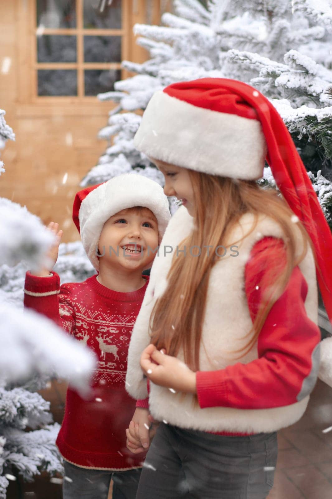 Children choose a Christmas tree at a market.