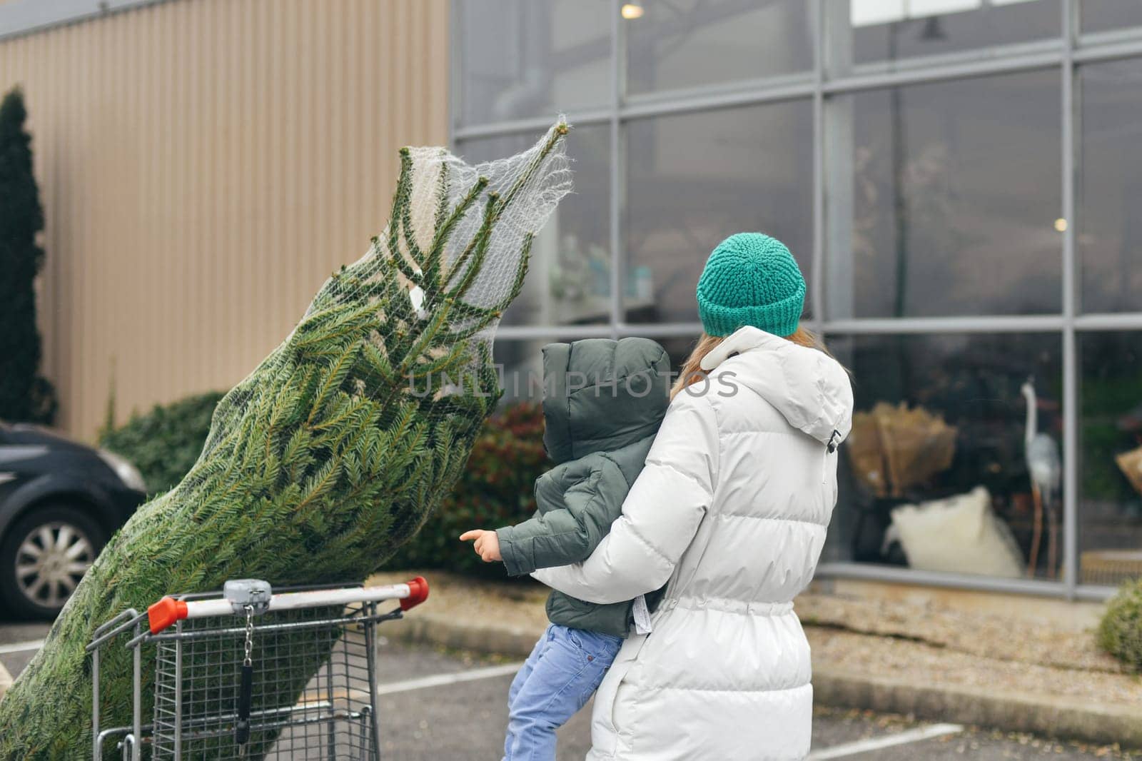 Mother bought a Christmas tree at the market
