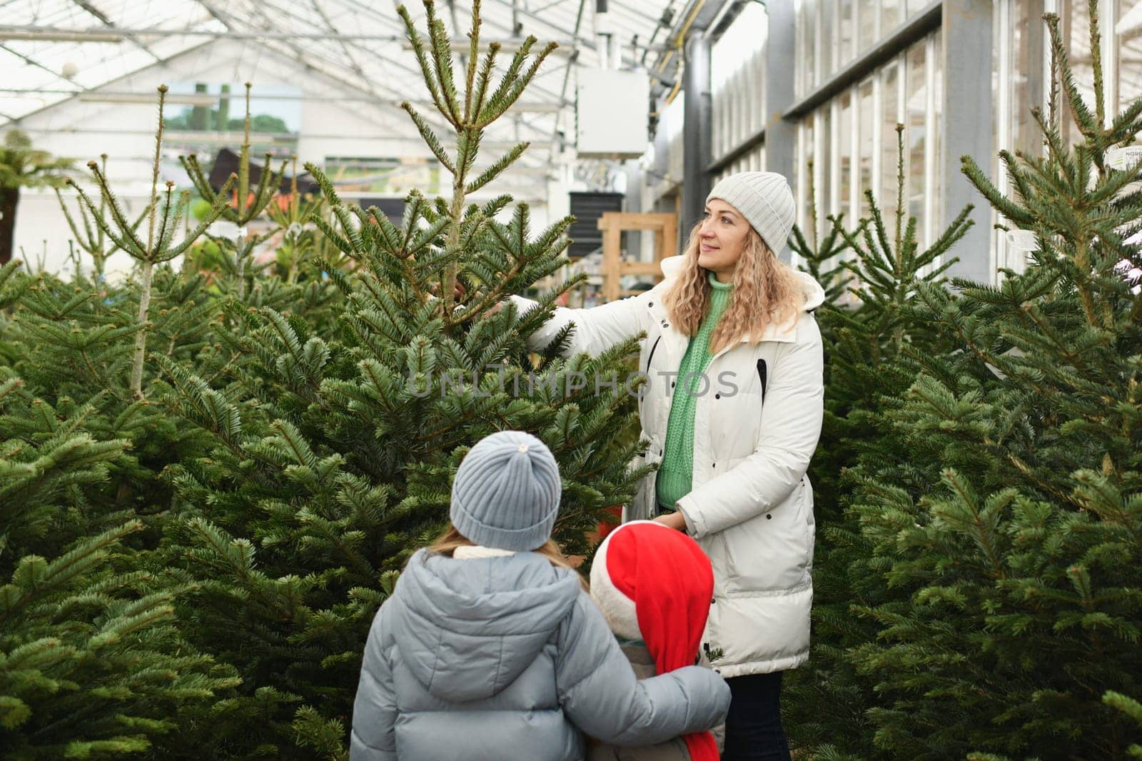 Mother and children buying a Christmas norman tree in a shop by Godi