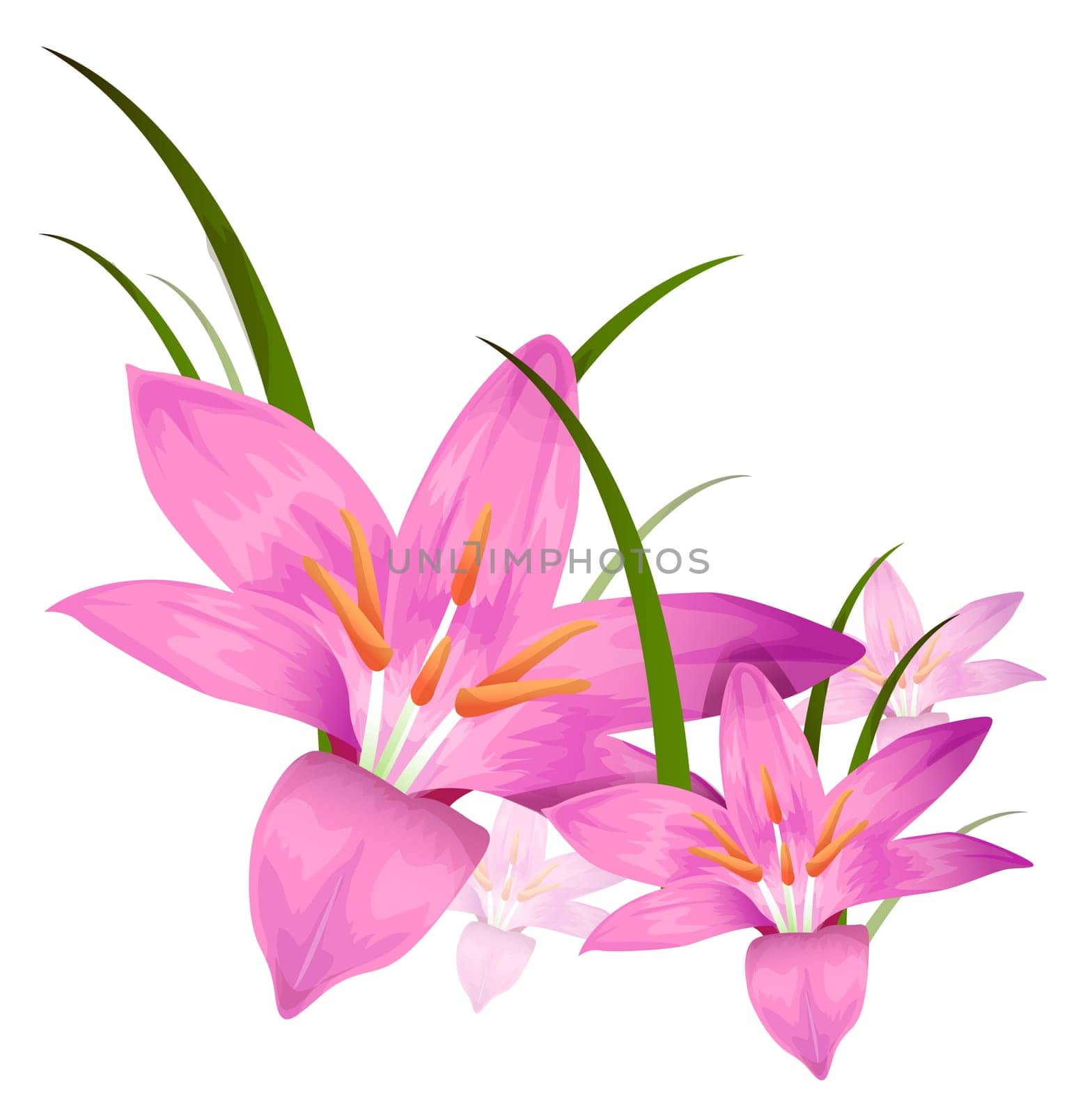purple flower