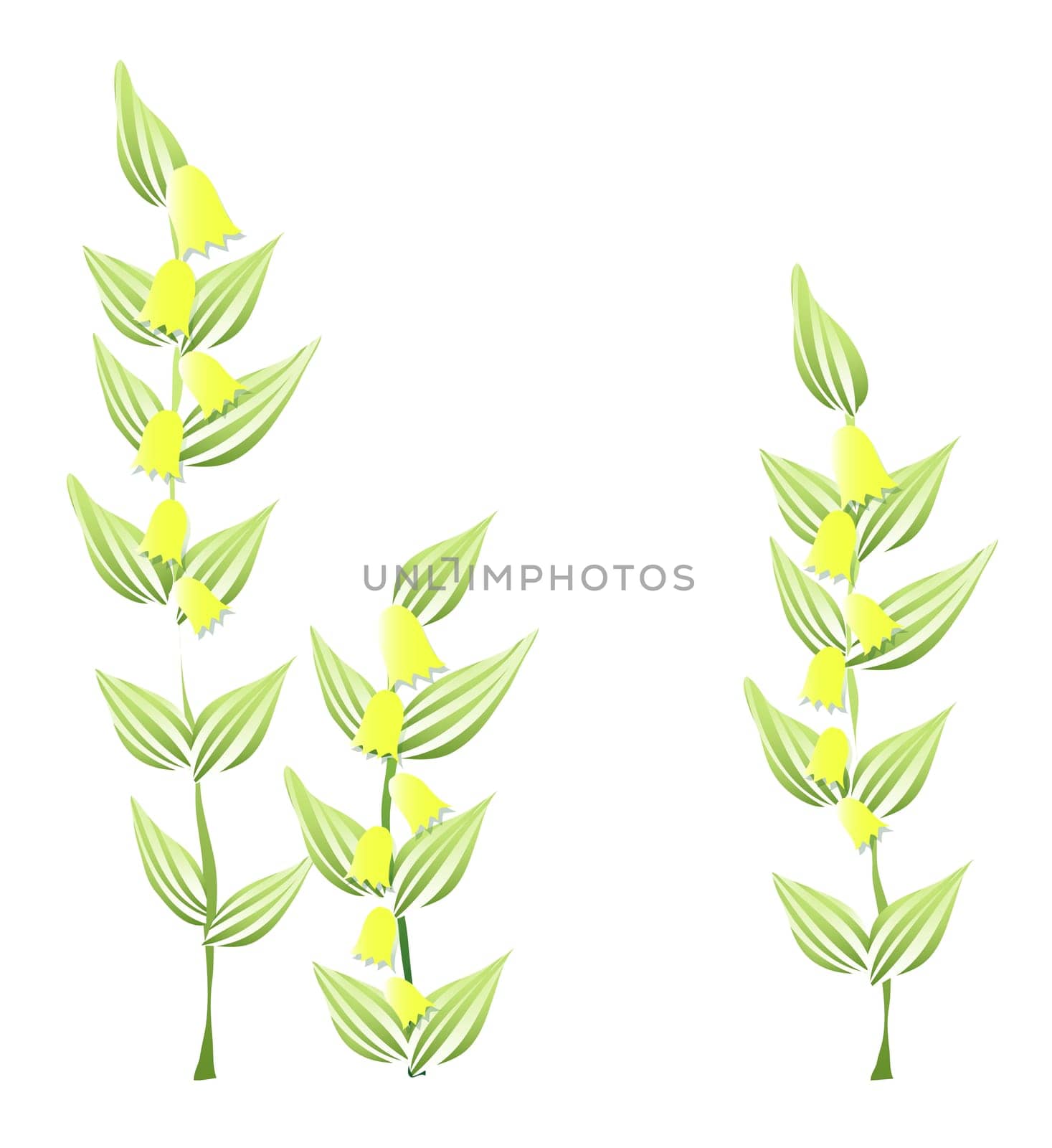 leaf and flower