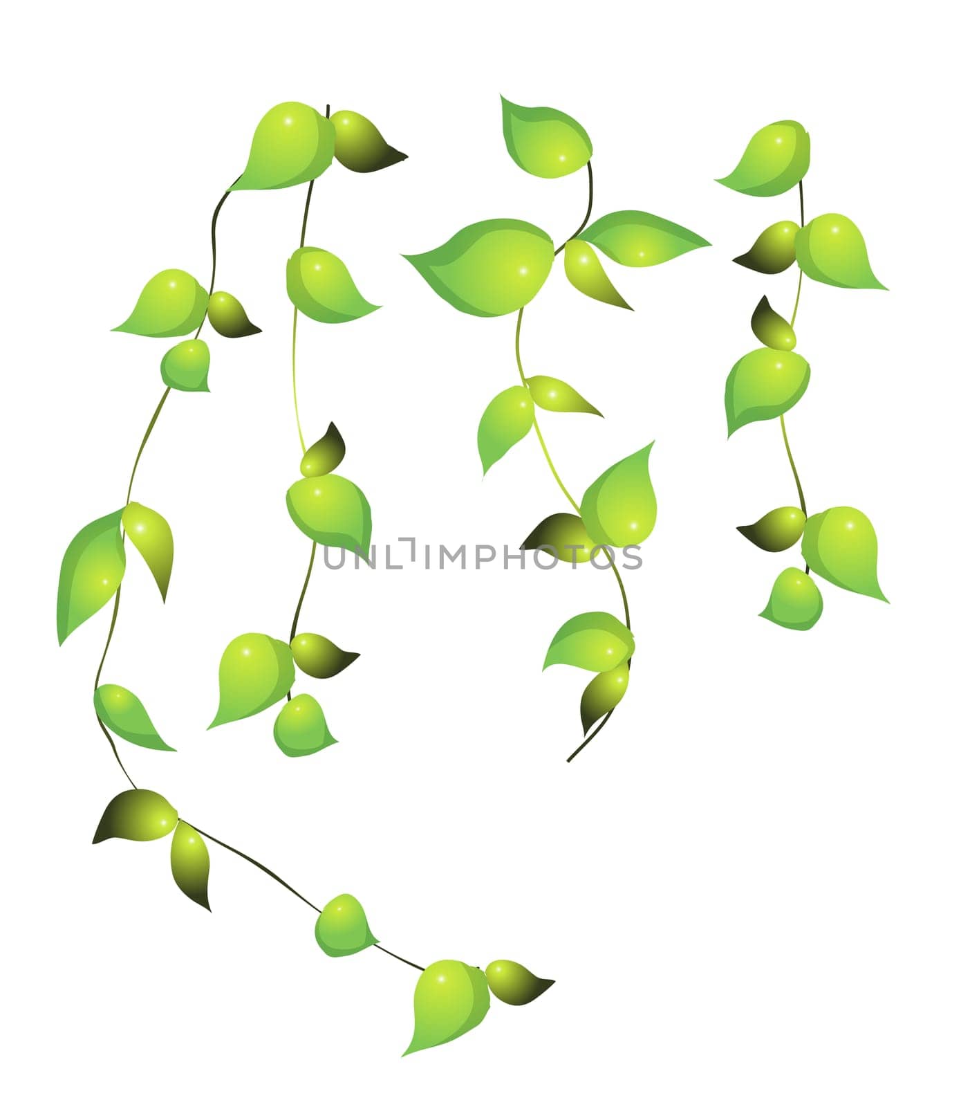 vines