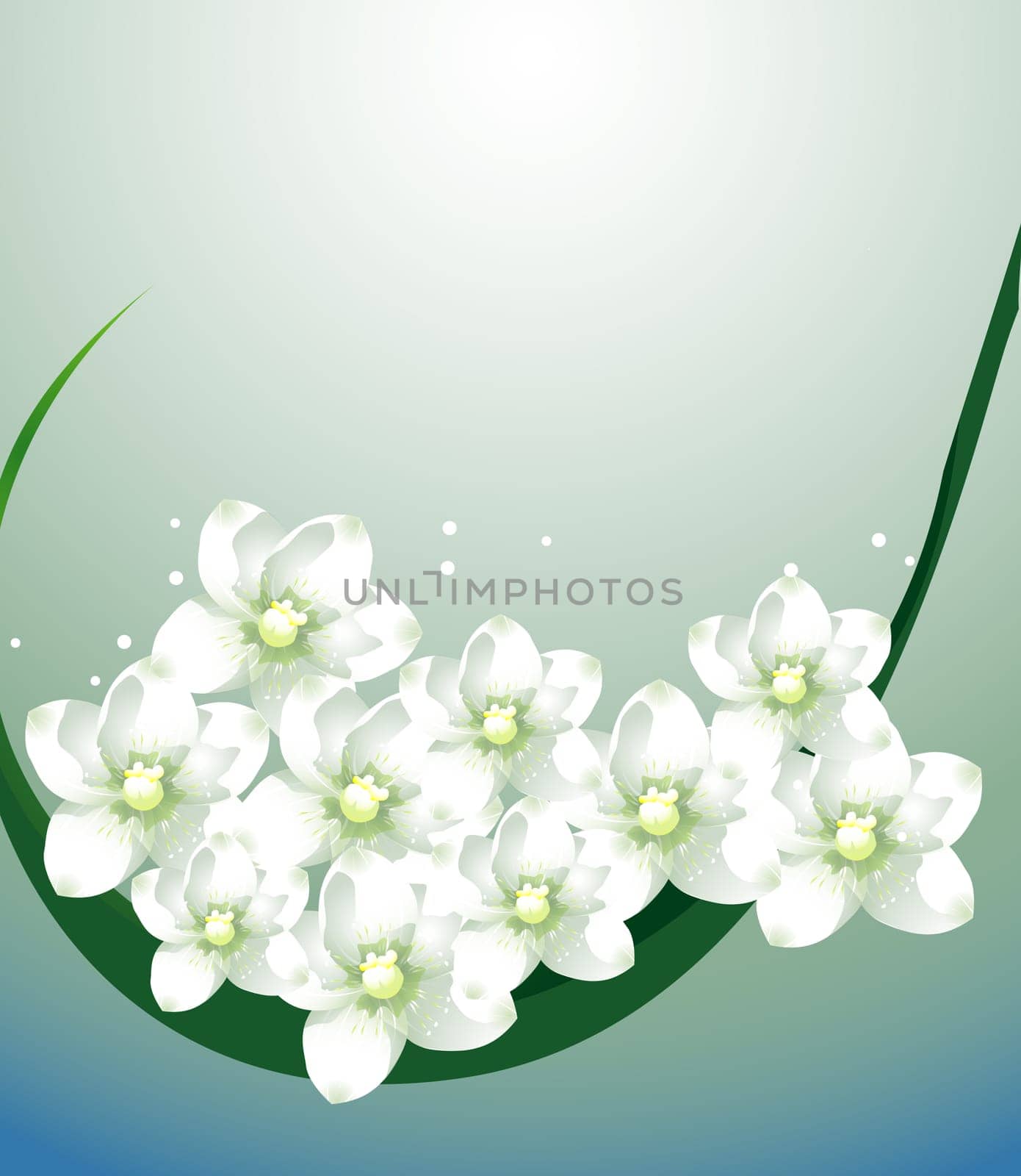 white flower