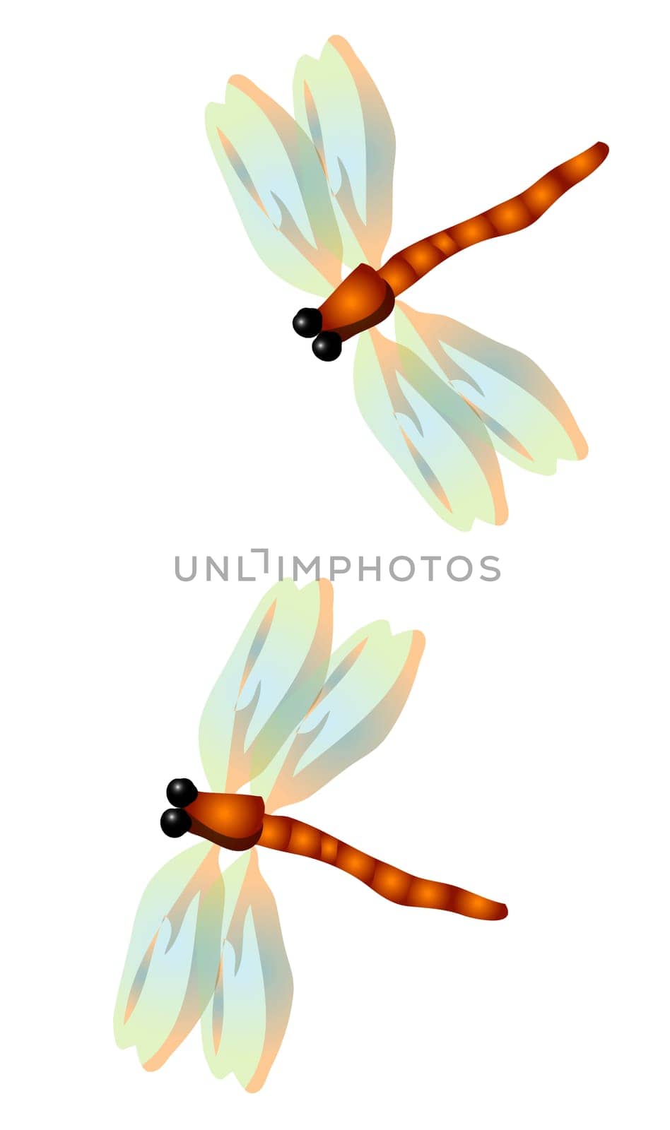 Dragonfly