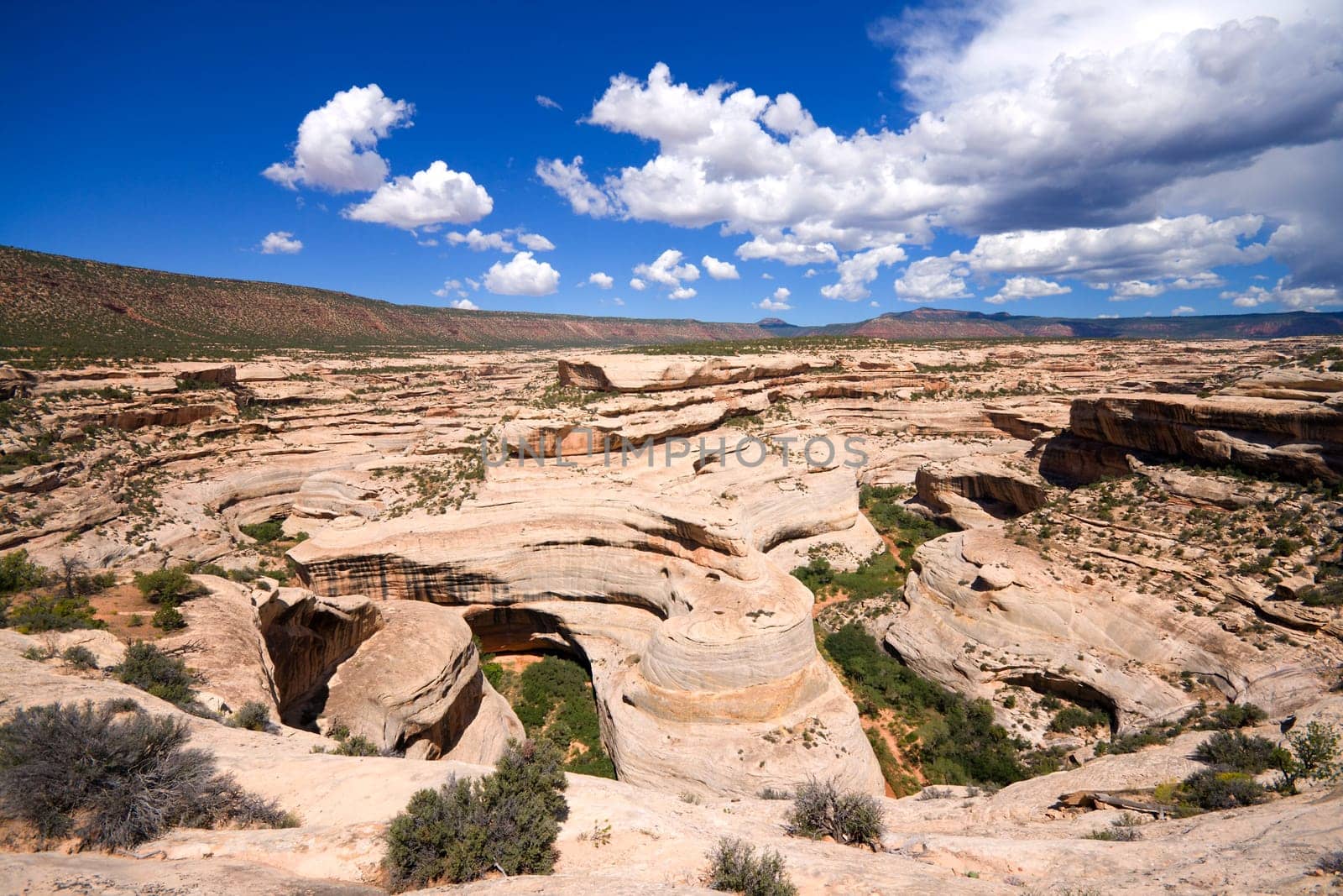 Natural Bridges National Monument