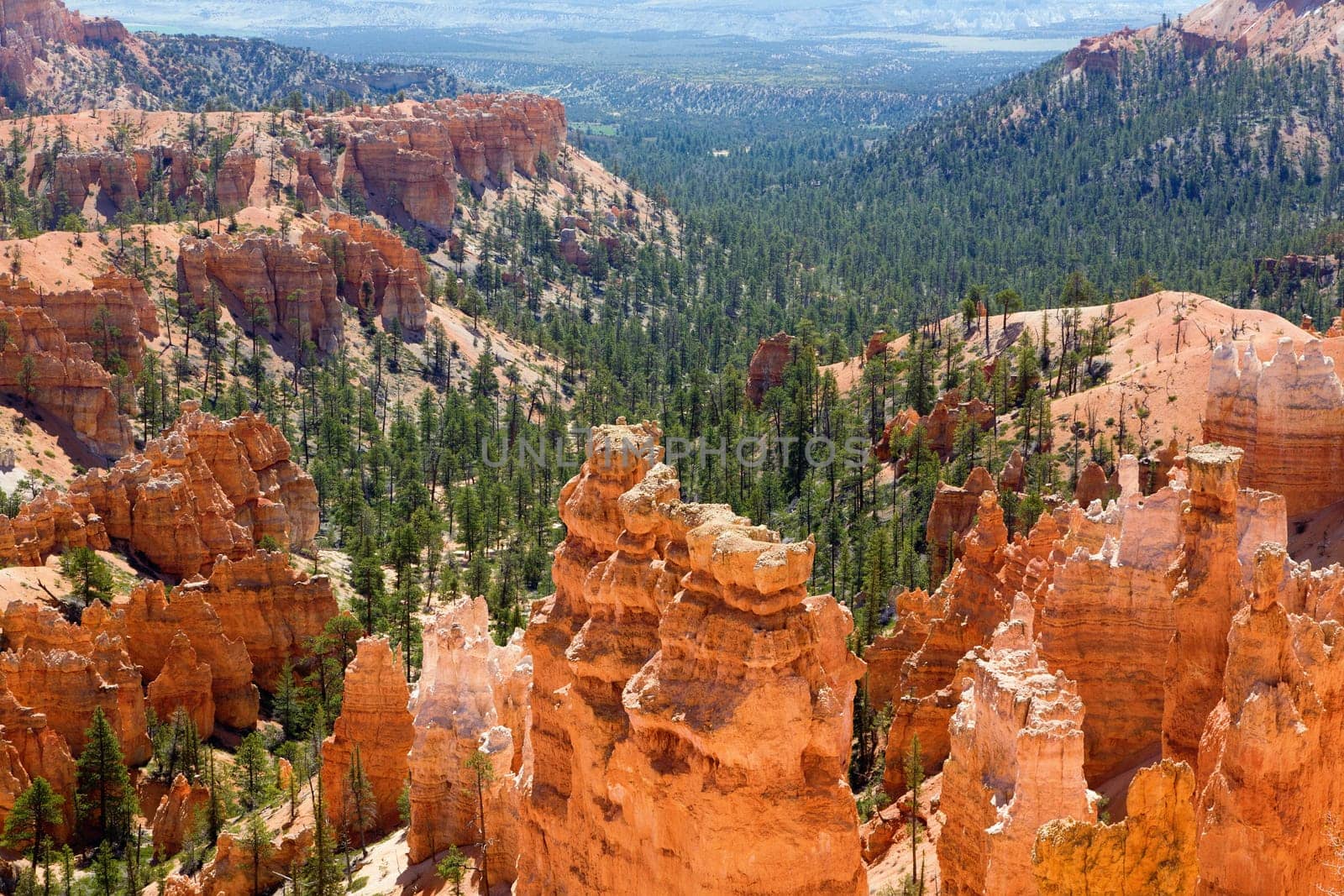 Bryce Canyon