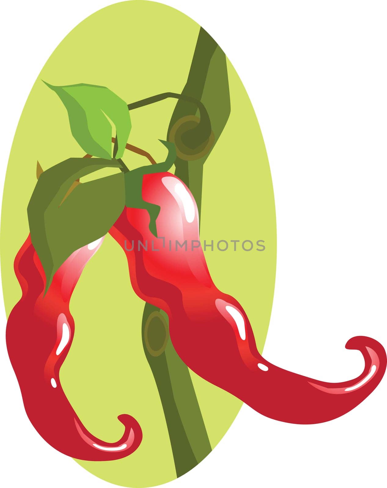 Red chilly